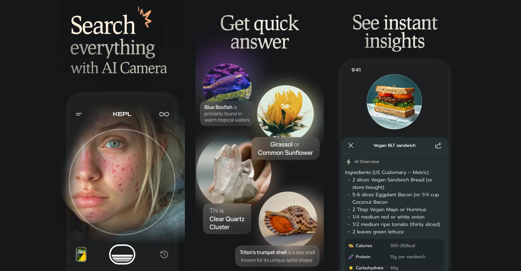 KEPL - Vision AI Search website