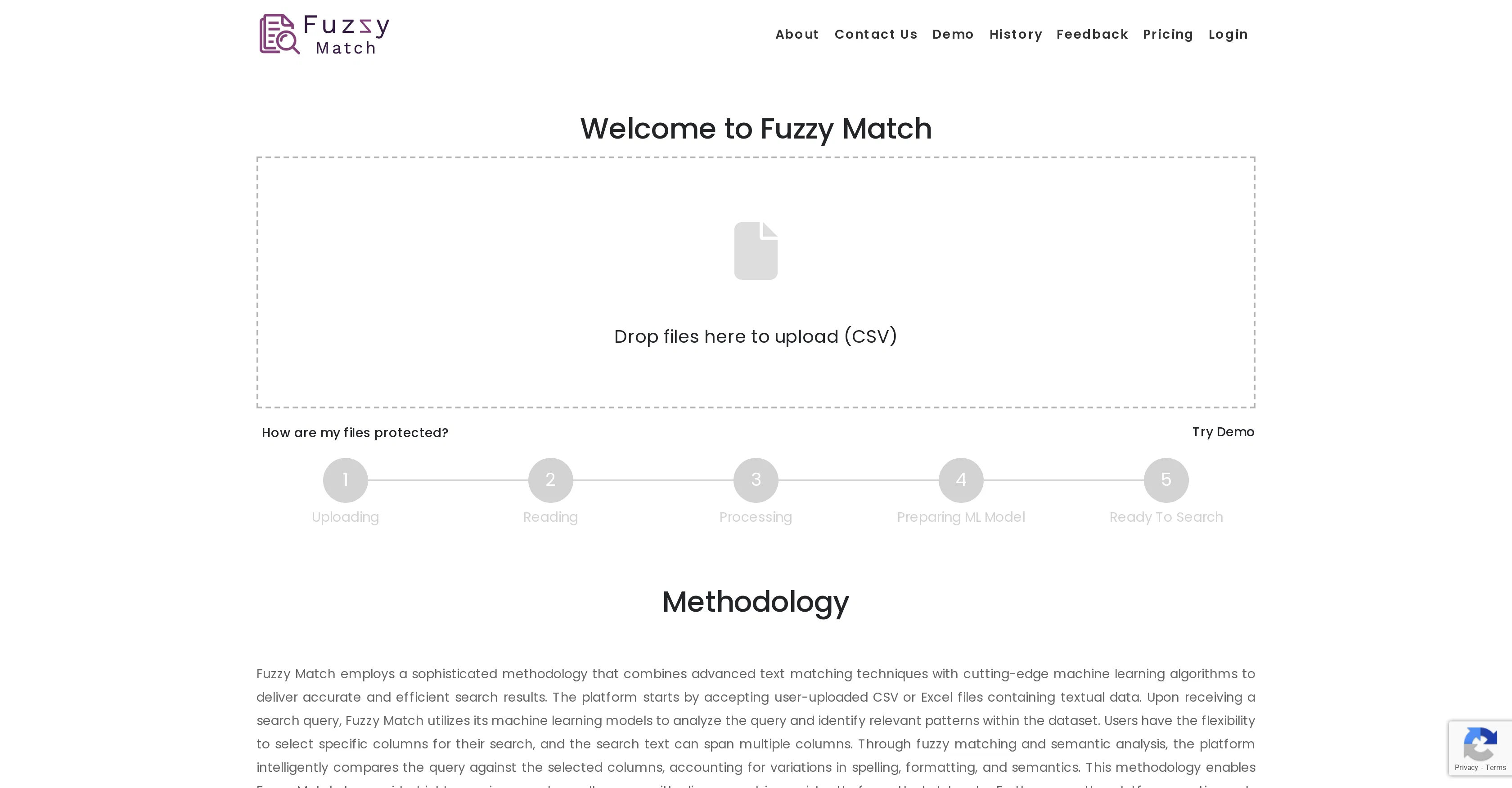 Fuzzy Match website
