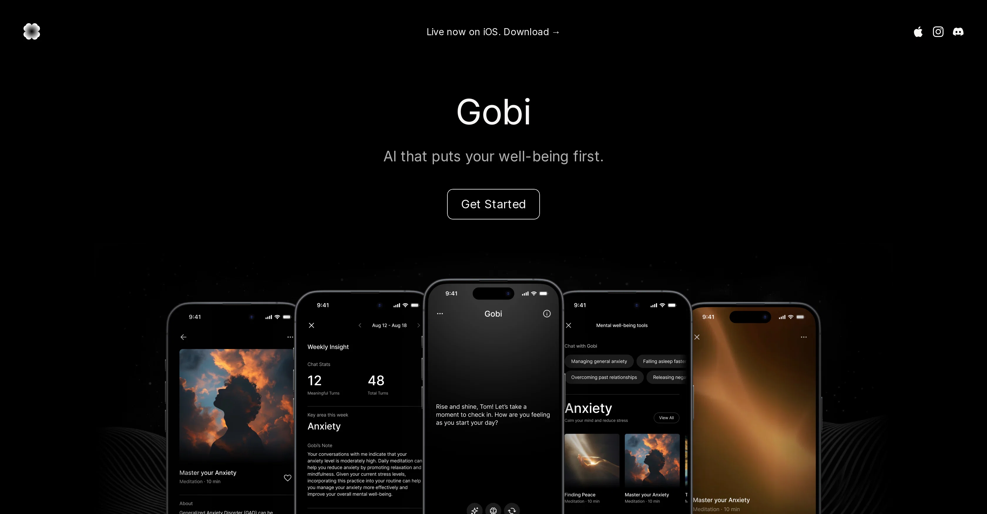 Gobi website