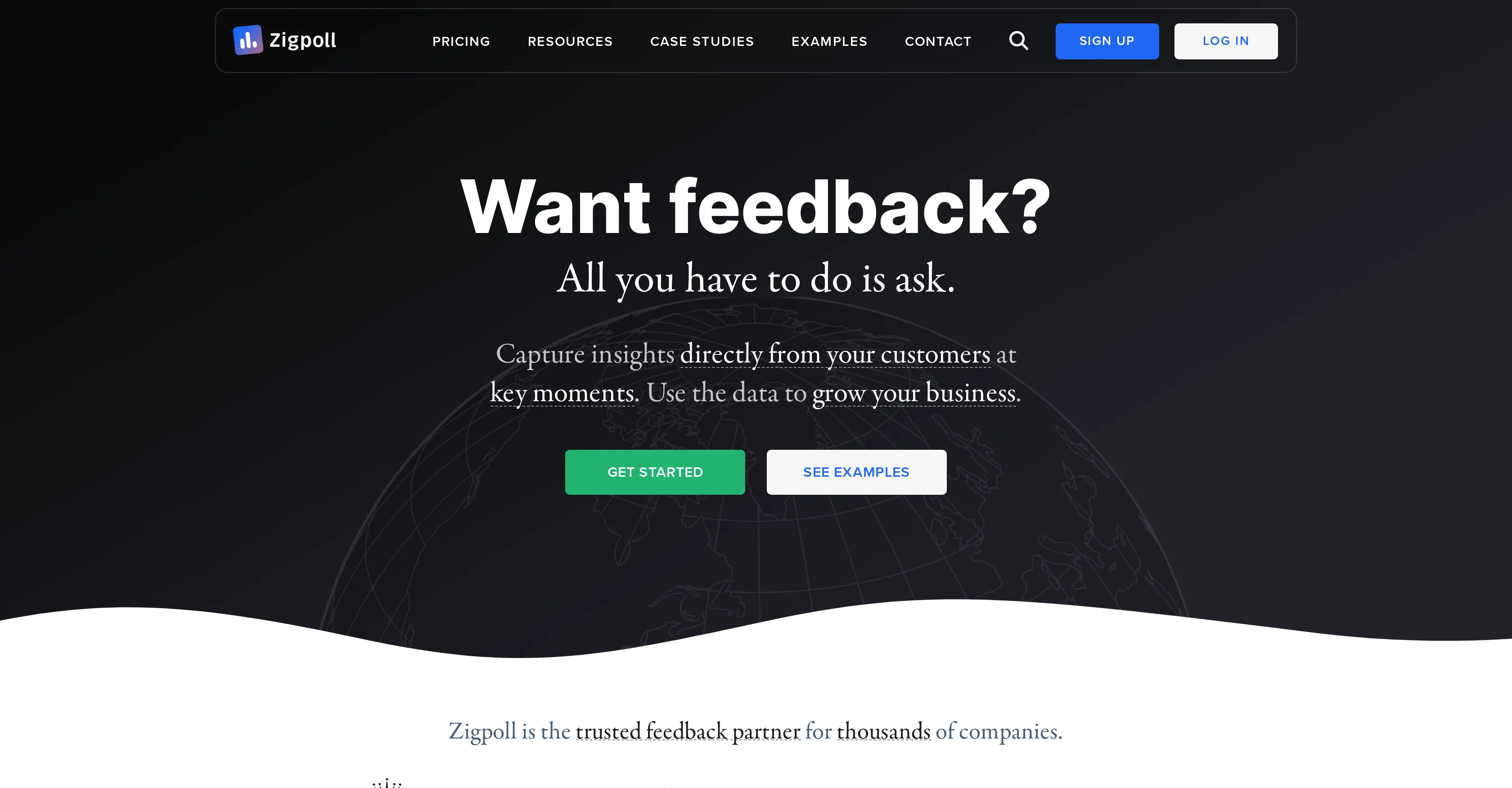 Zigpoll website