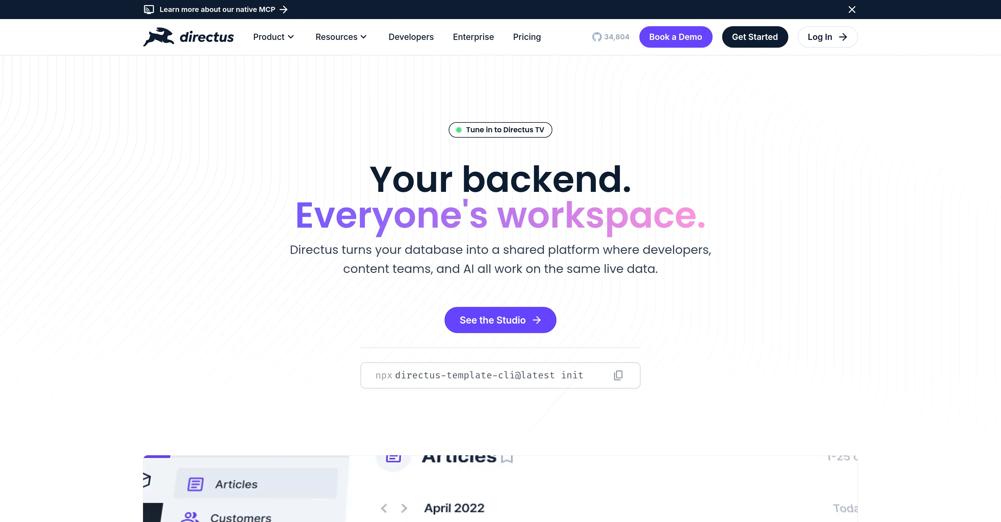 Directus website