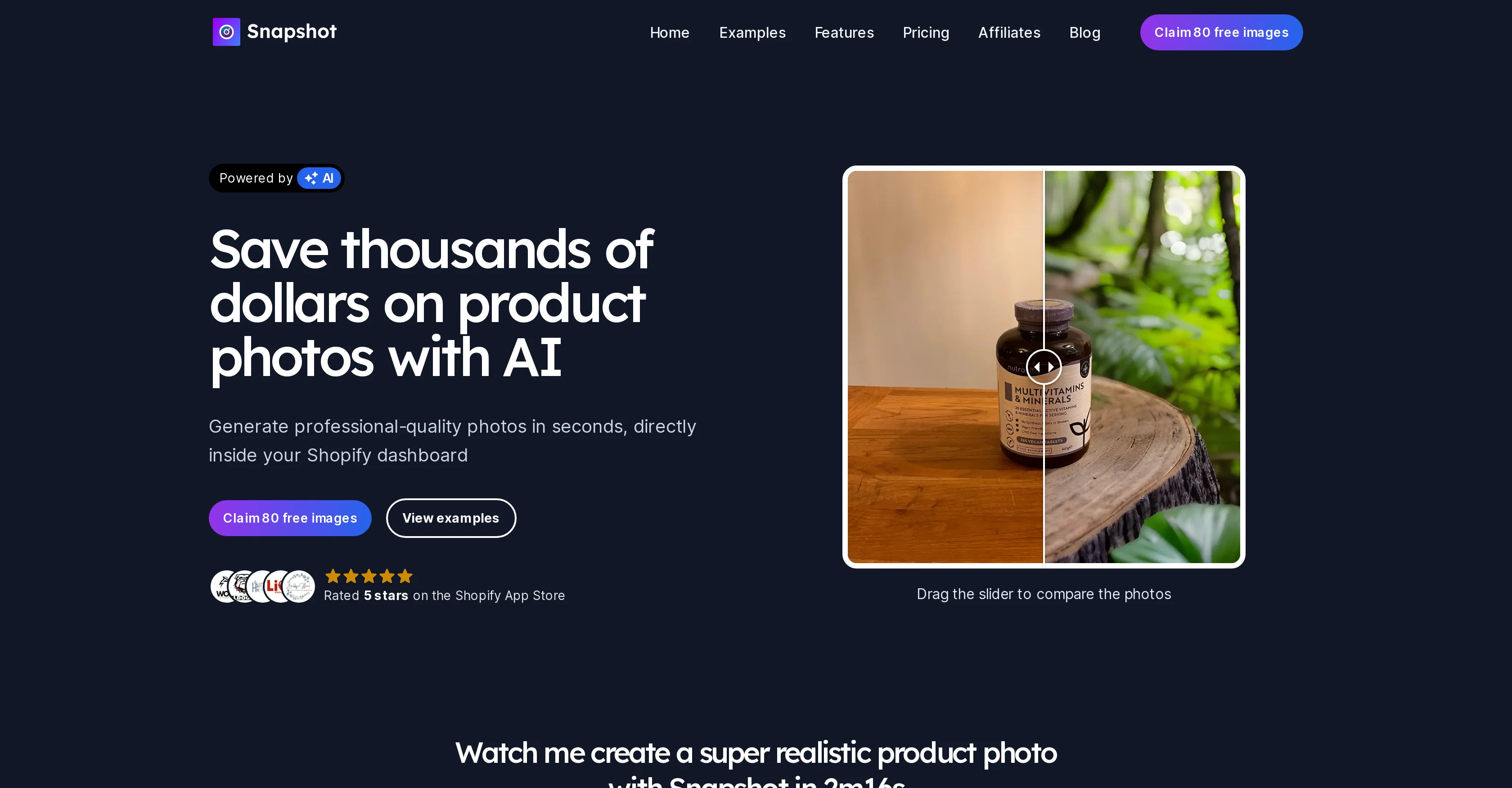 Snapshot website