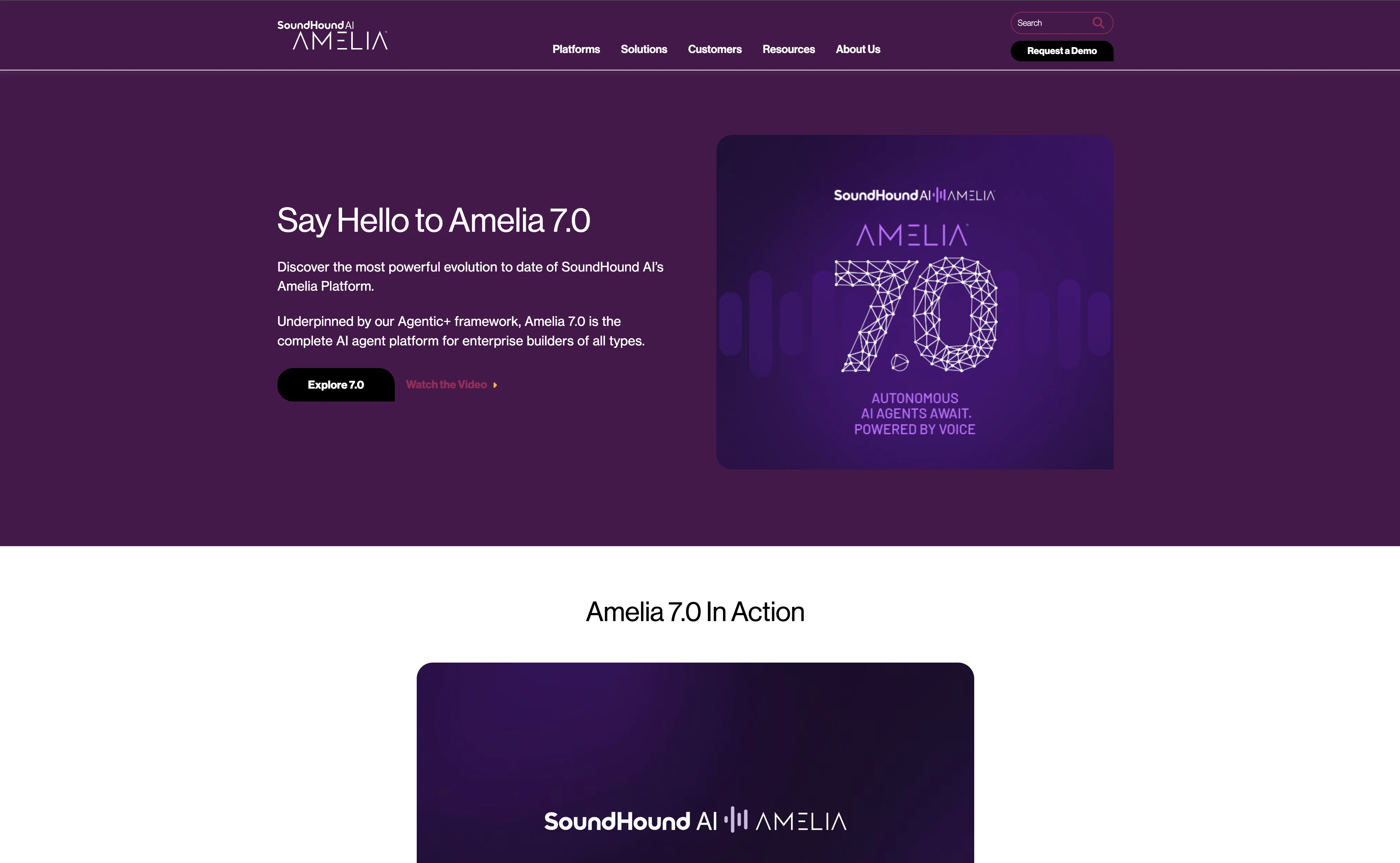 Amelia website