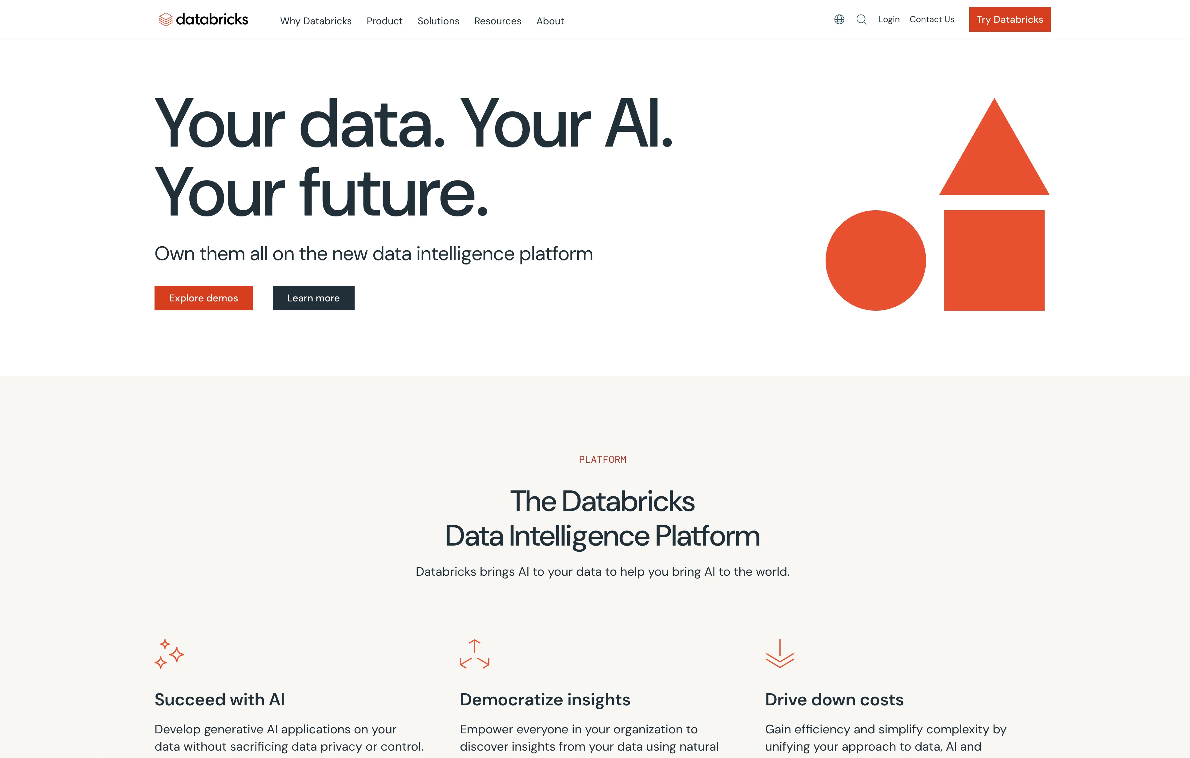 Databricks website