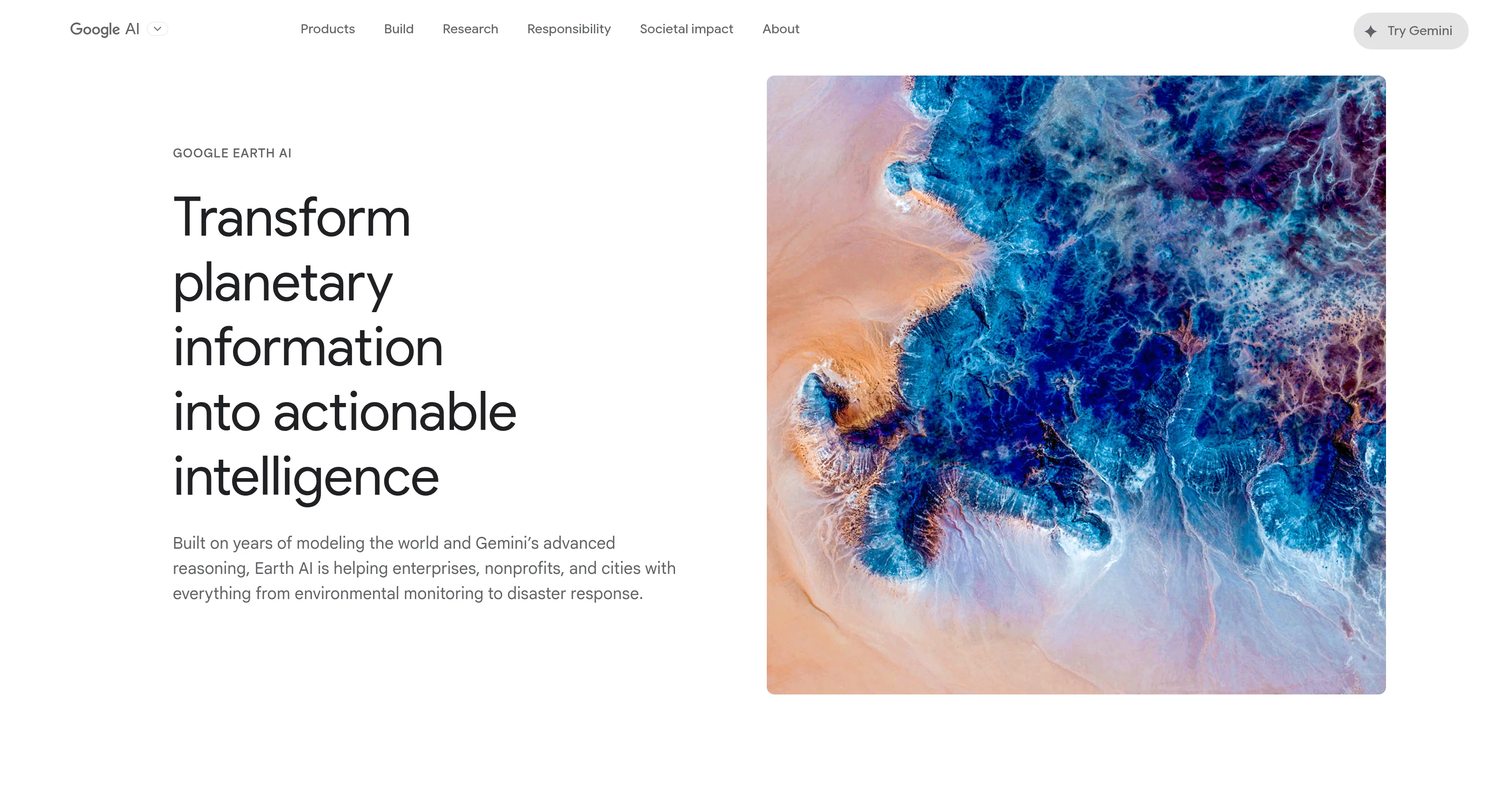 Google Earth AI website
