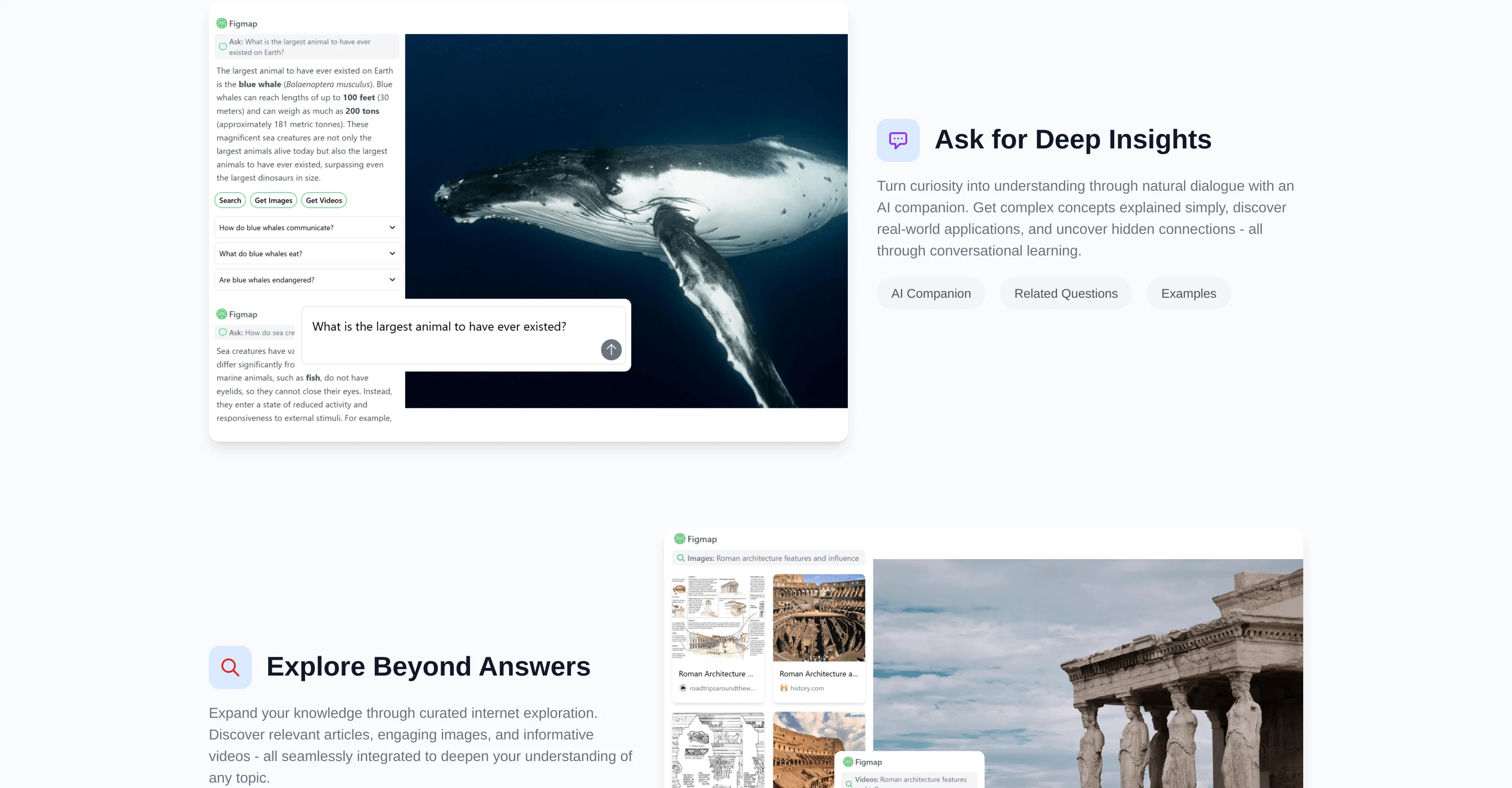 Figmap website