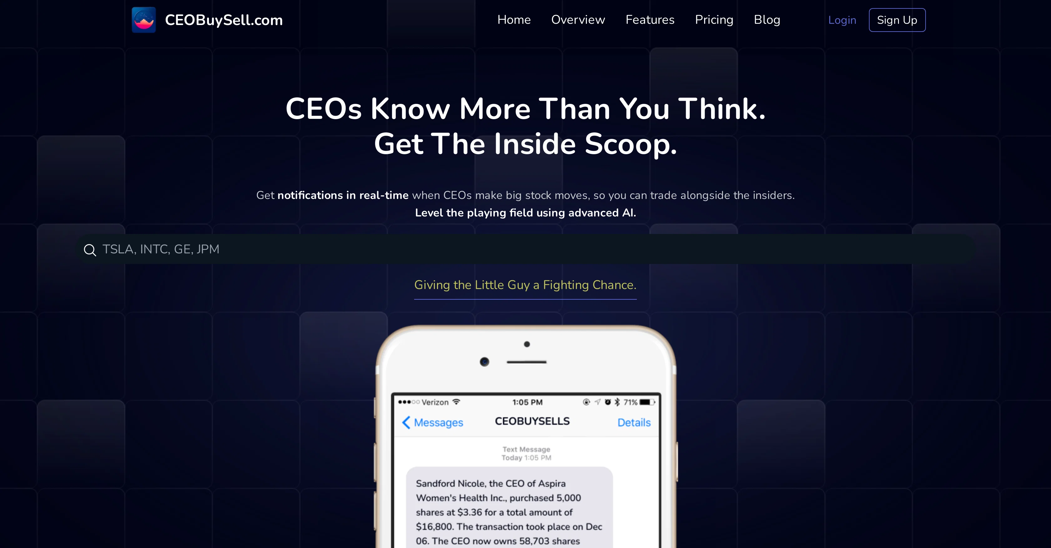 CEOBuySell website