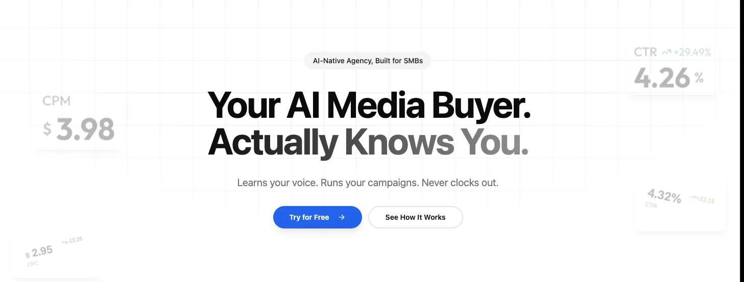 Didoo AI website