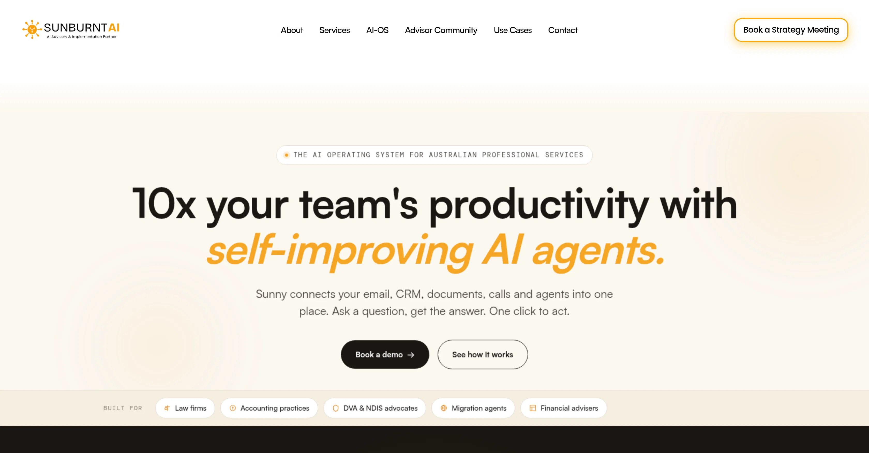 Sunny by Sunburnt AI website
