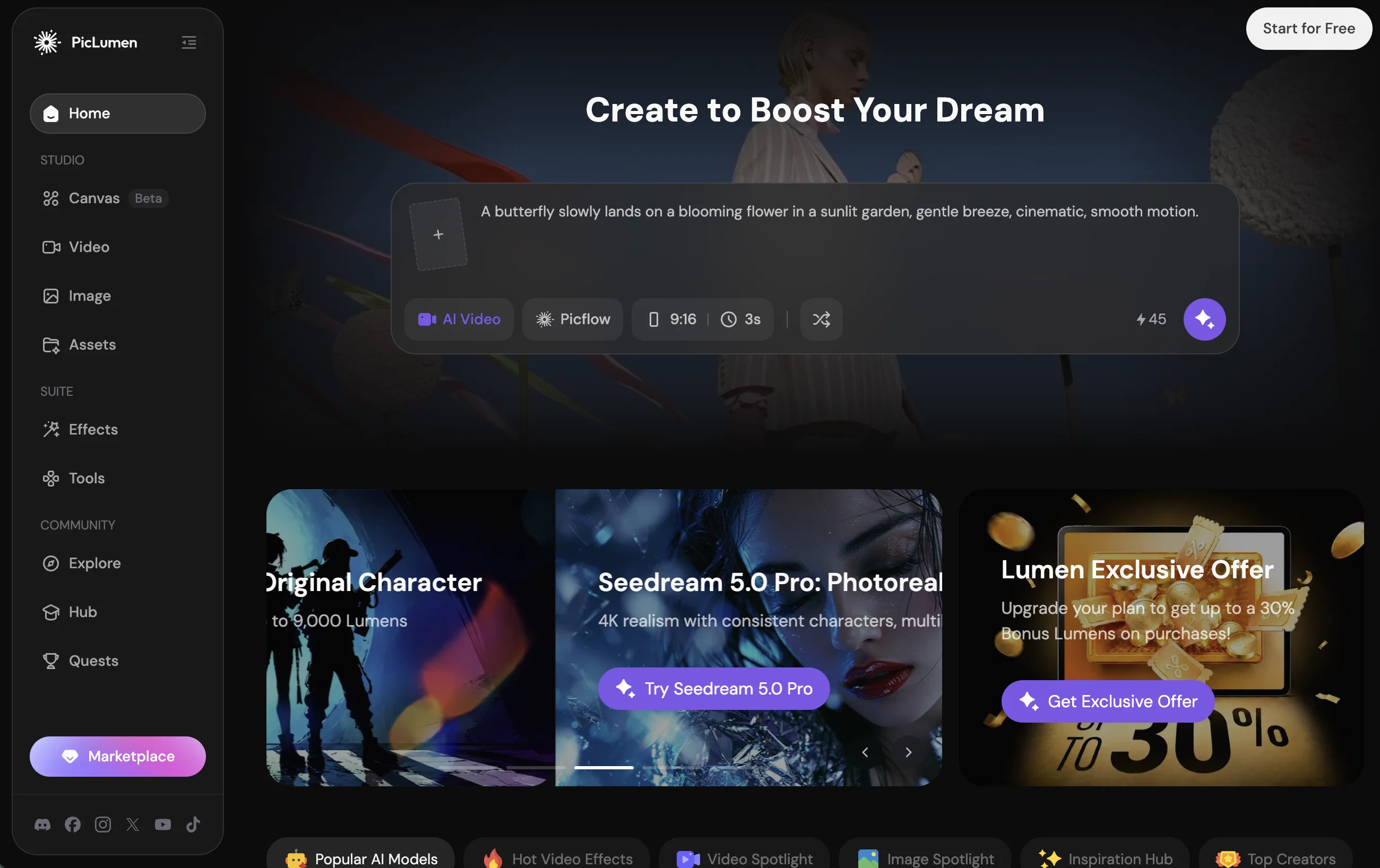 PicLumen website