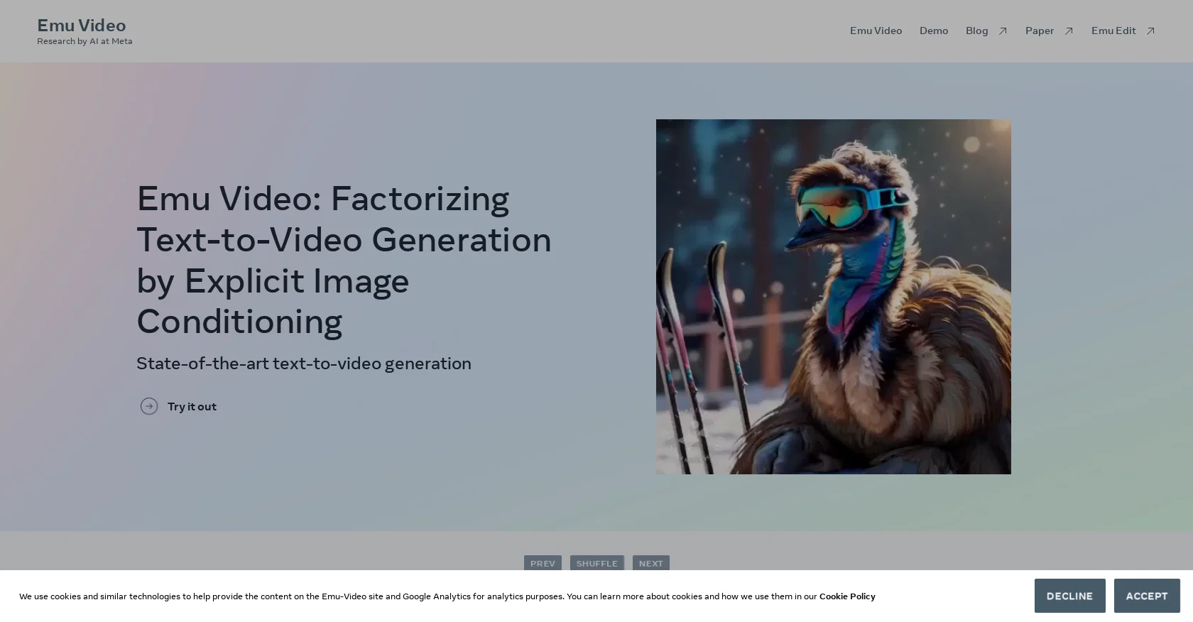 Emu Video website
