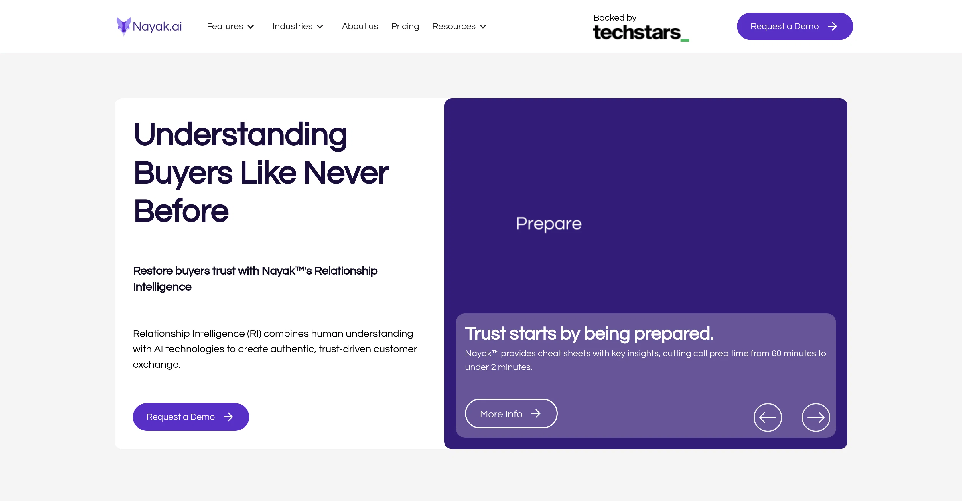Nayak.ai website