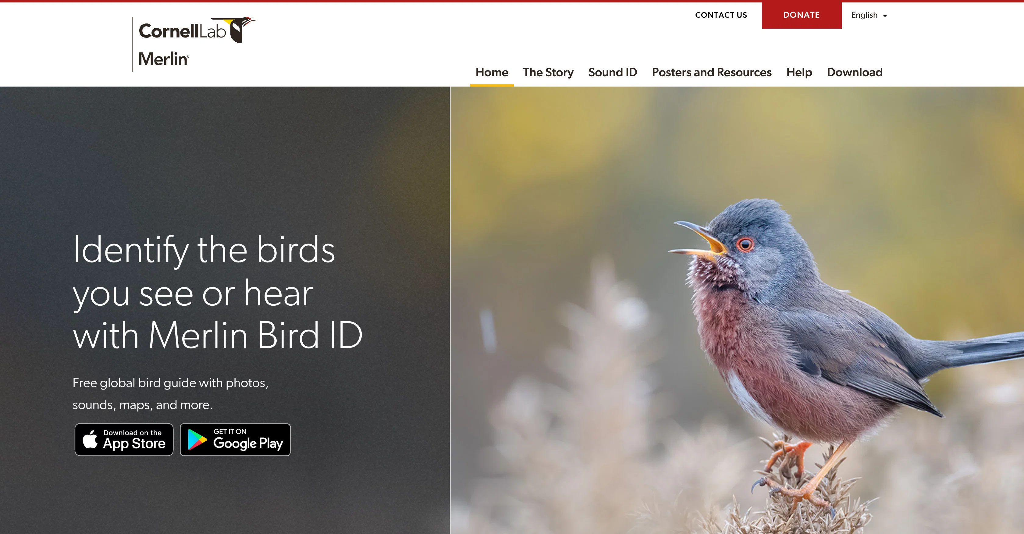 Merlin Bird ID website