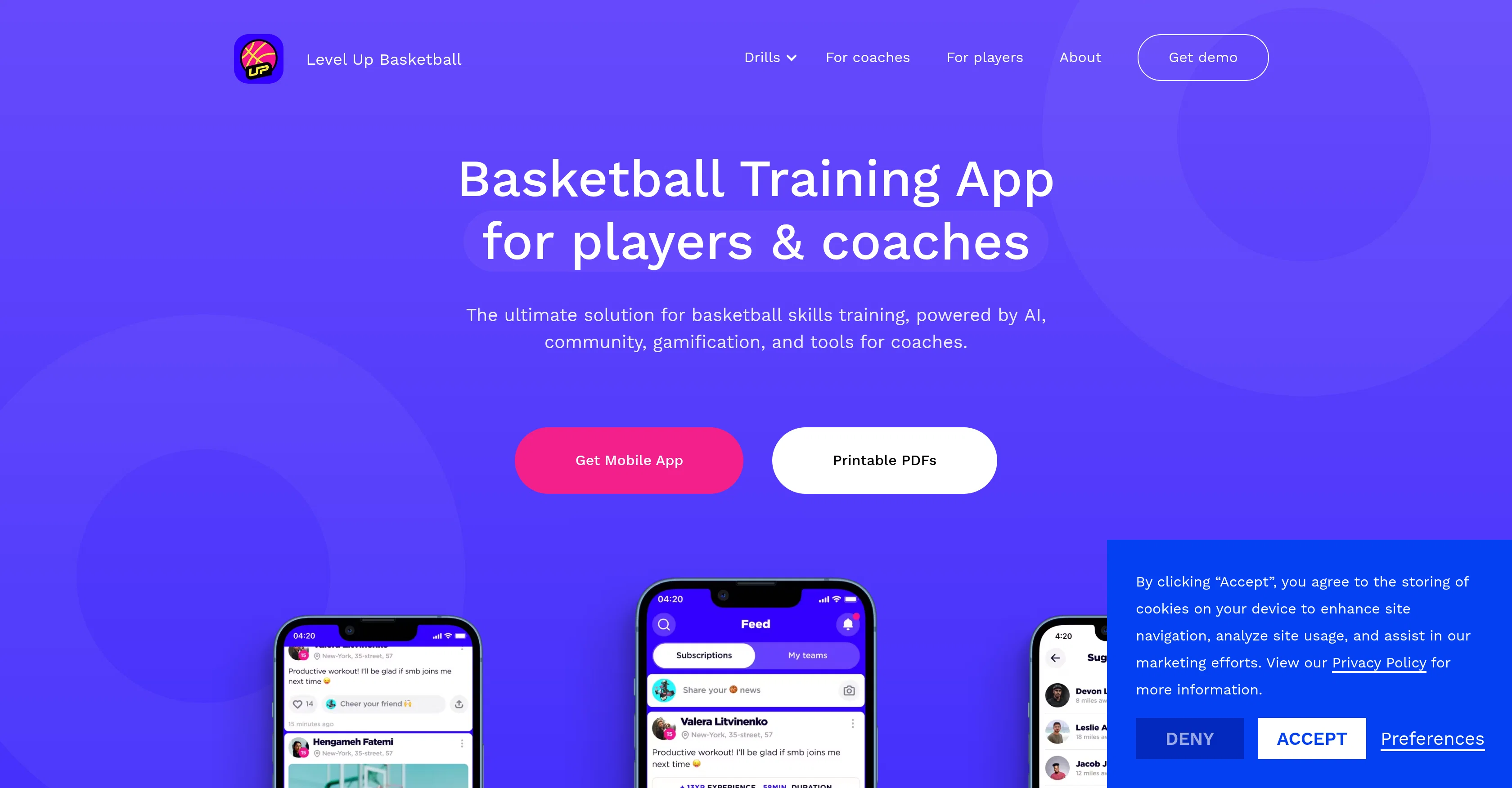 Level Up Basketball website