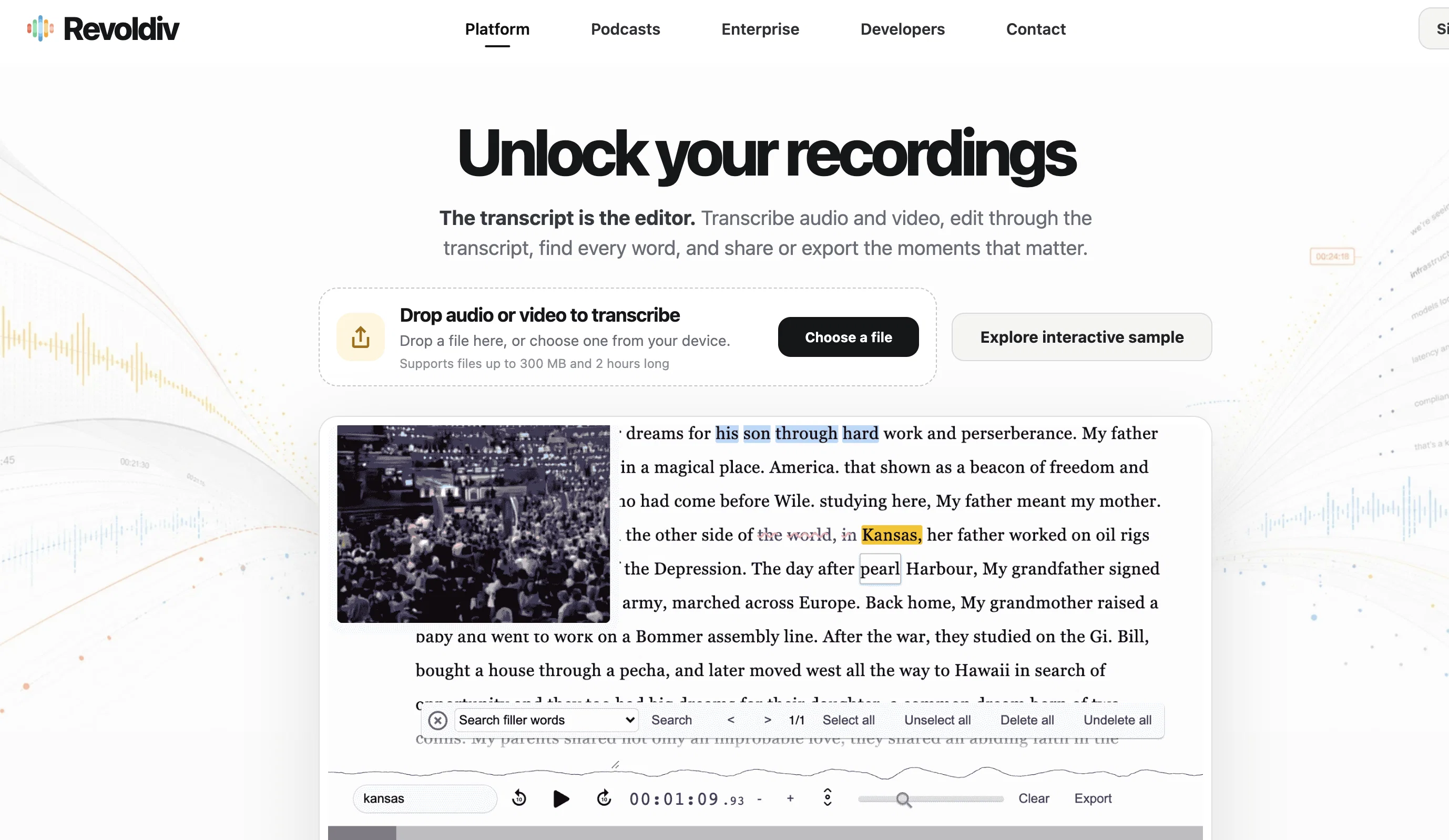 Revoldiv website