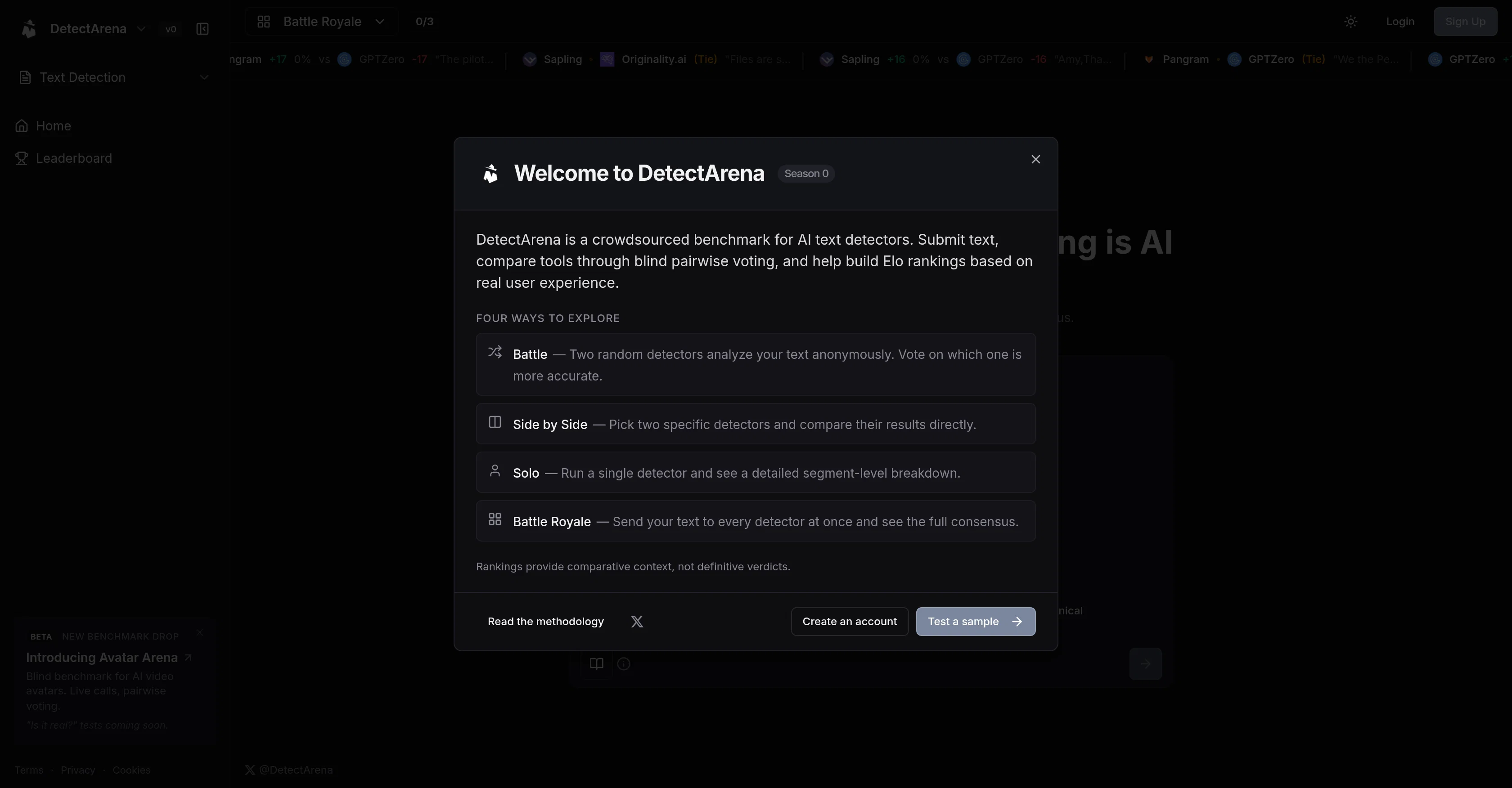 DetectArena website