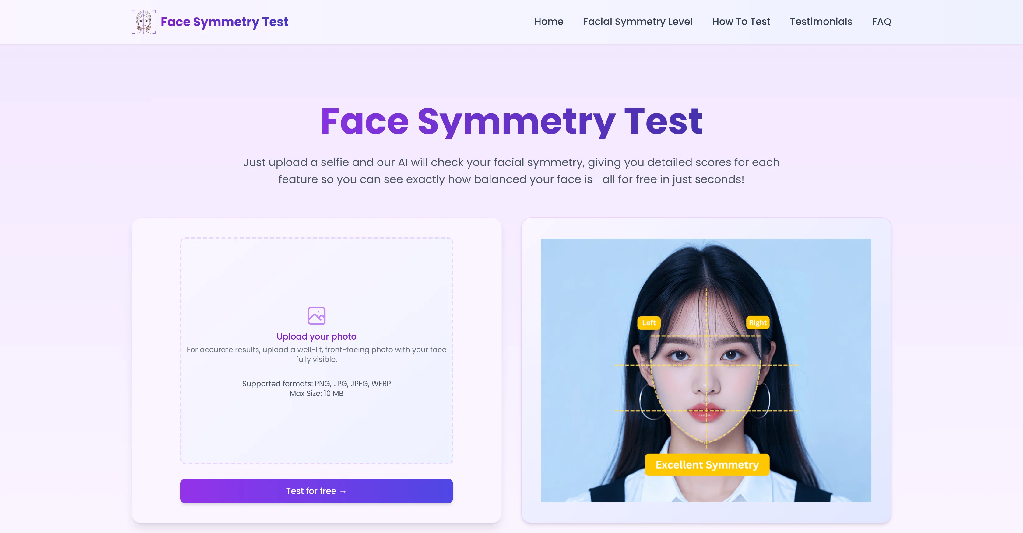 Face Symmetry Test website