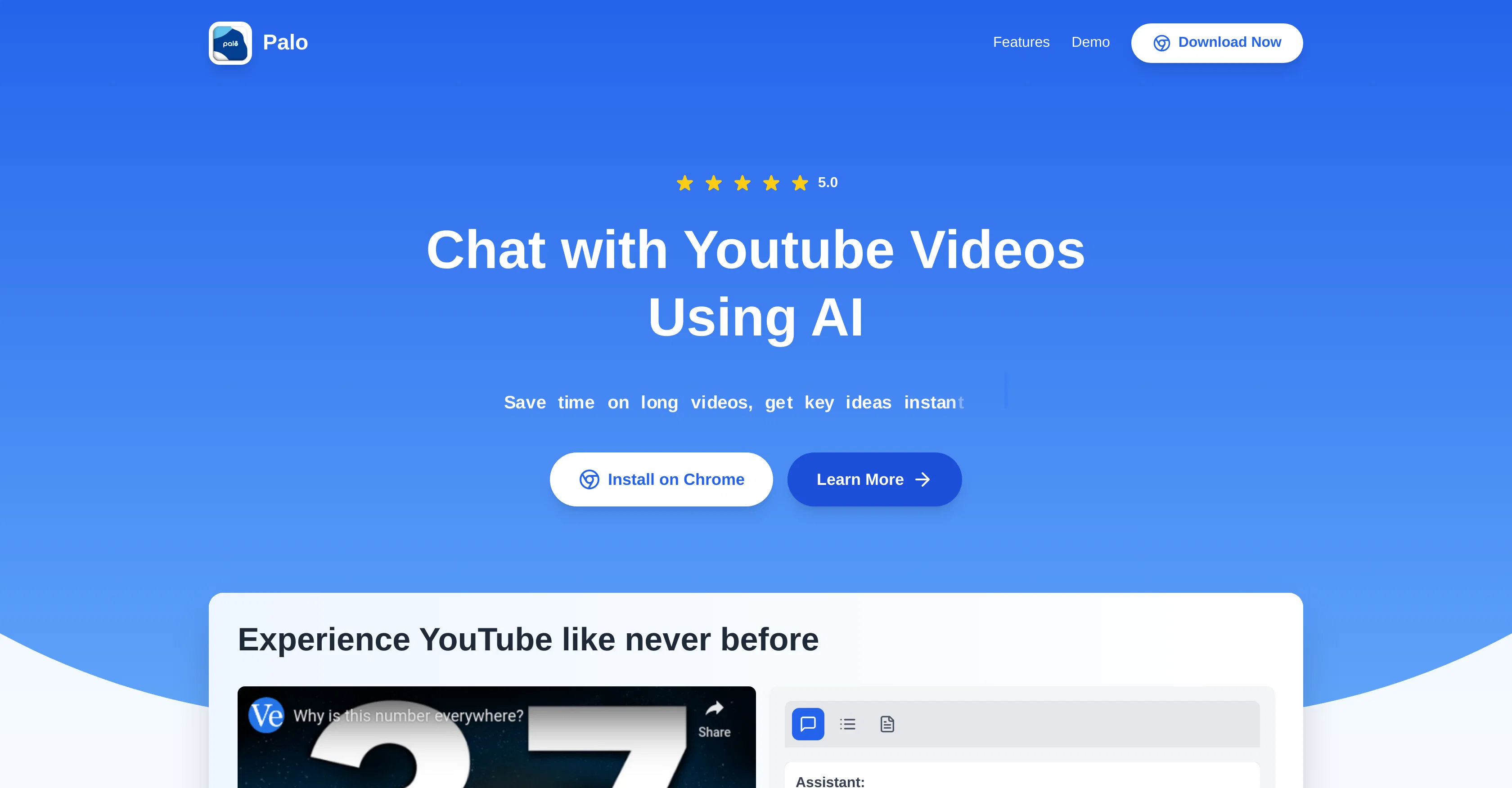 Palo - Youtube AI Assistant website