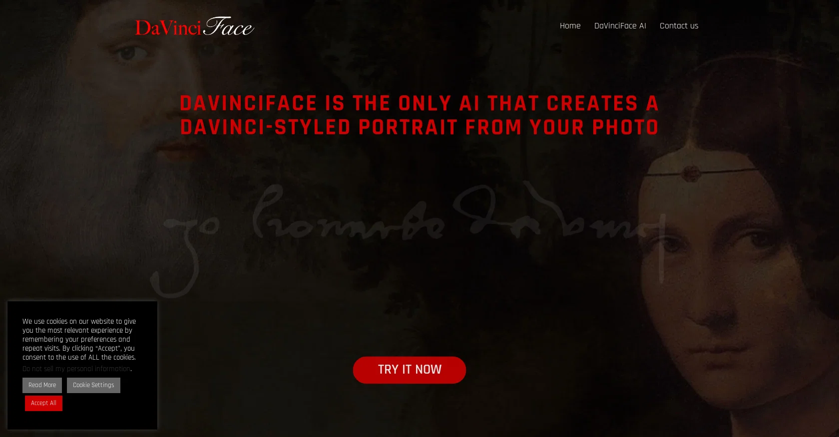 DaVinciFace website