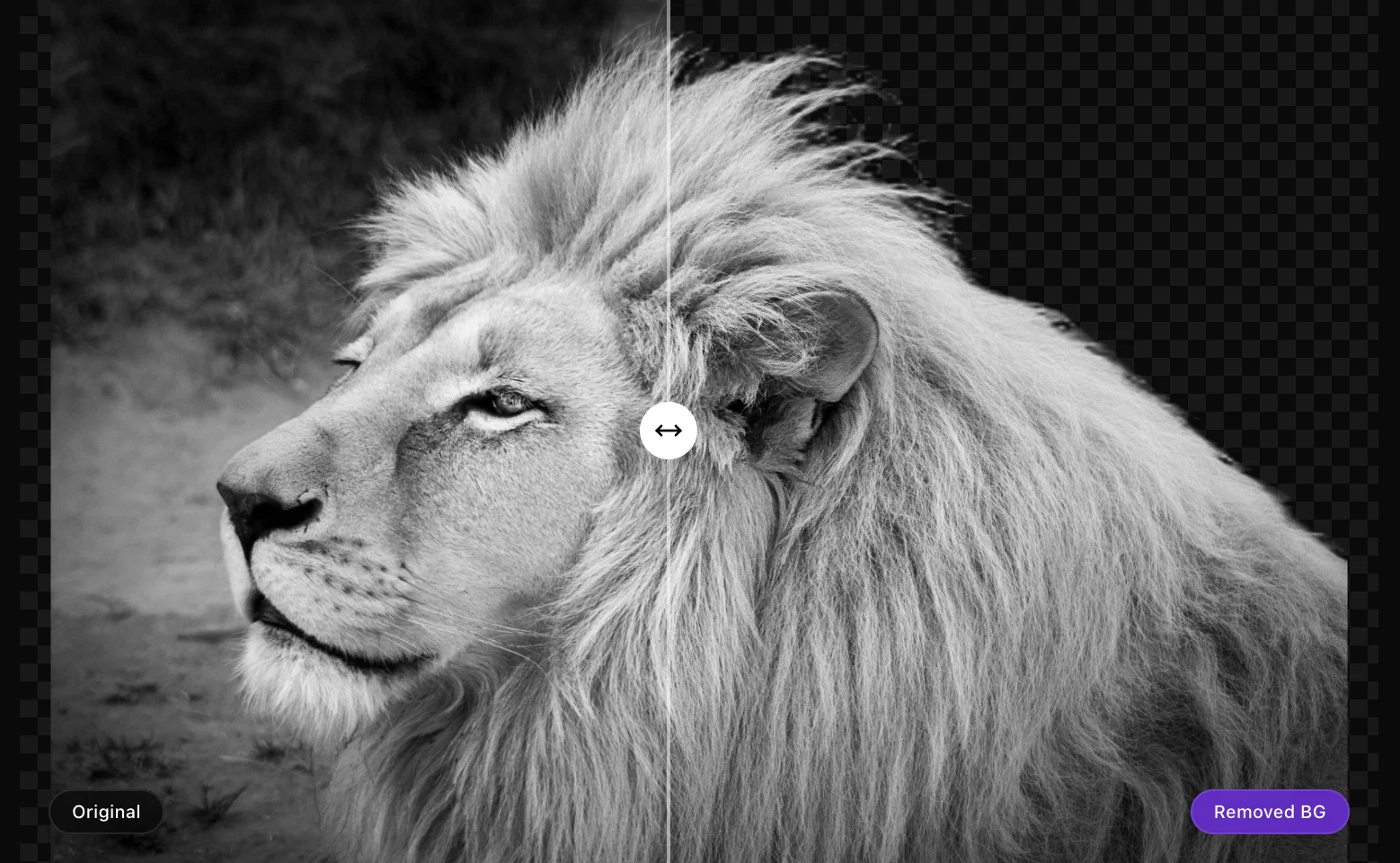 ClipBG - The Ultimate Bulk AI Background Remover website