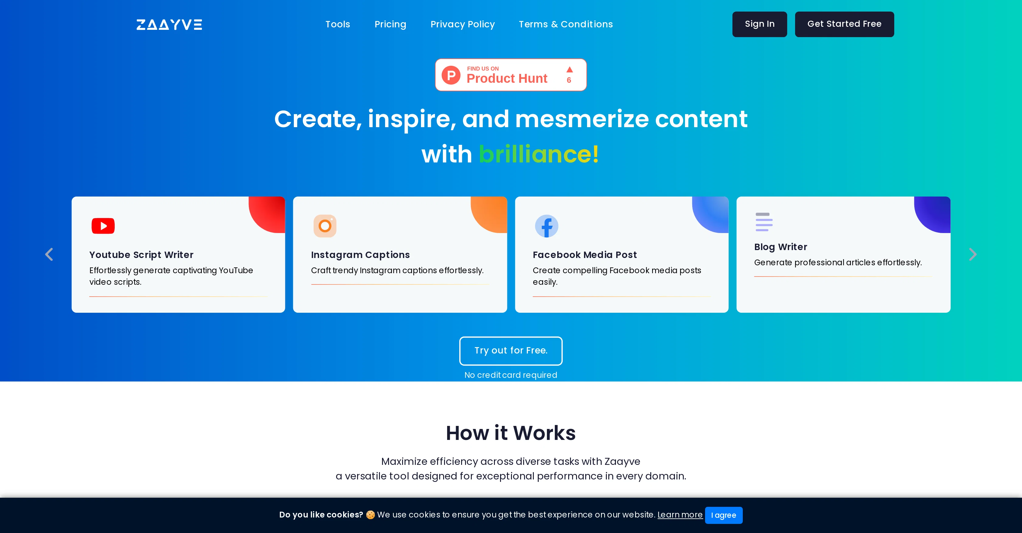 Zaayve website