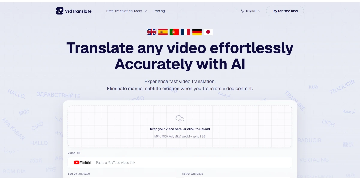 VidTranslate AI Video Translation