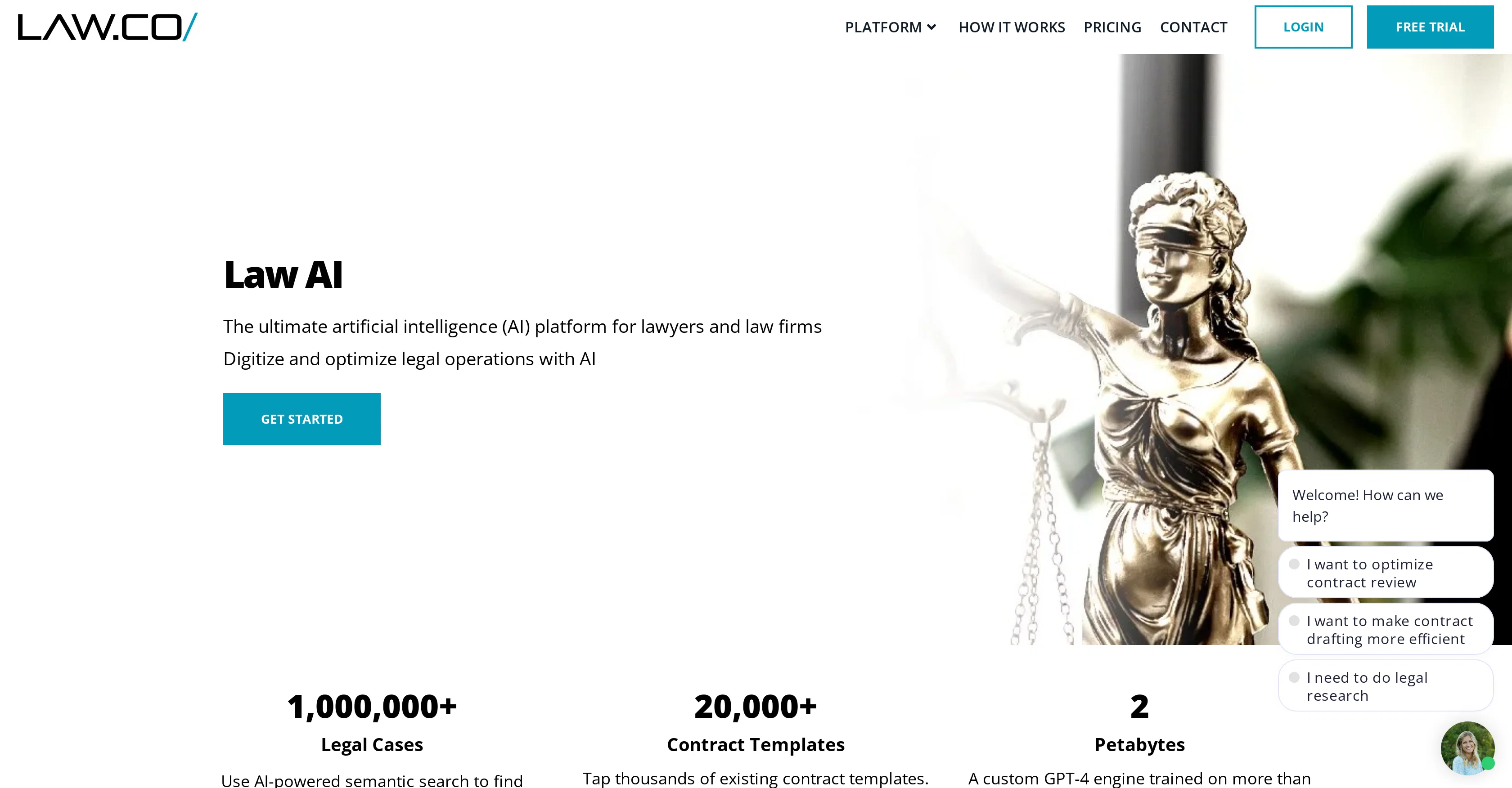 Law AI website