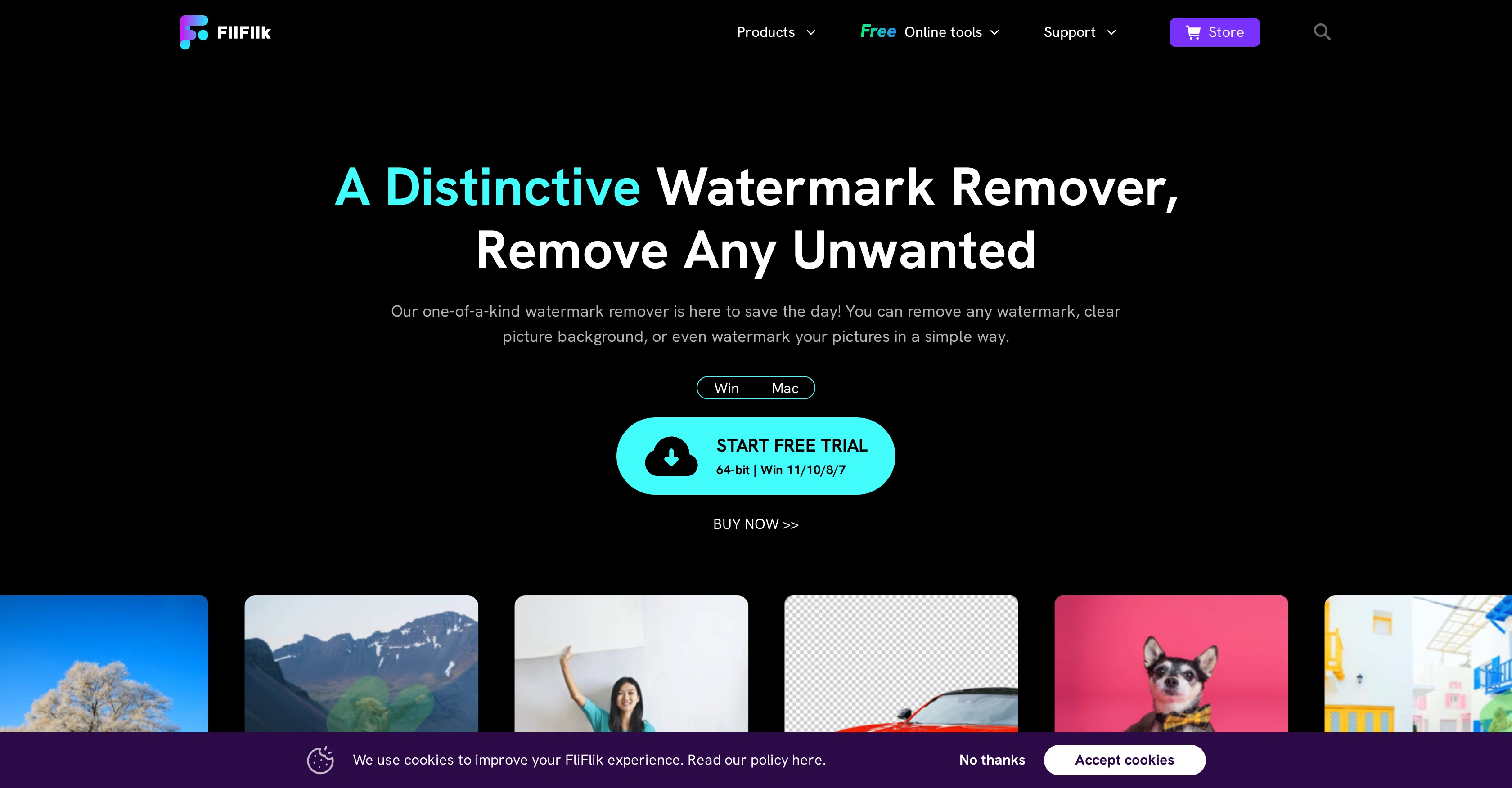 FliFlik website