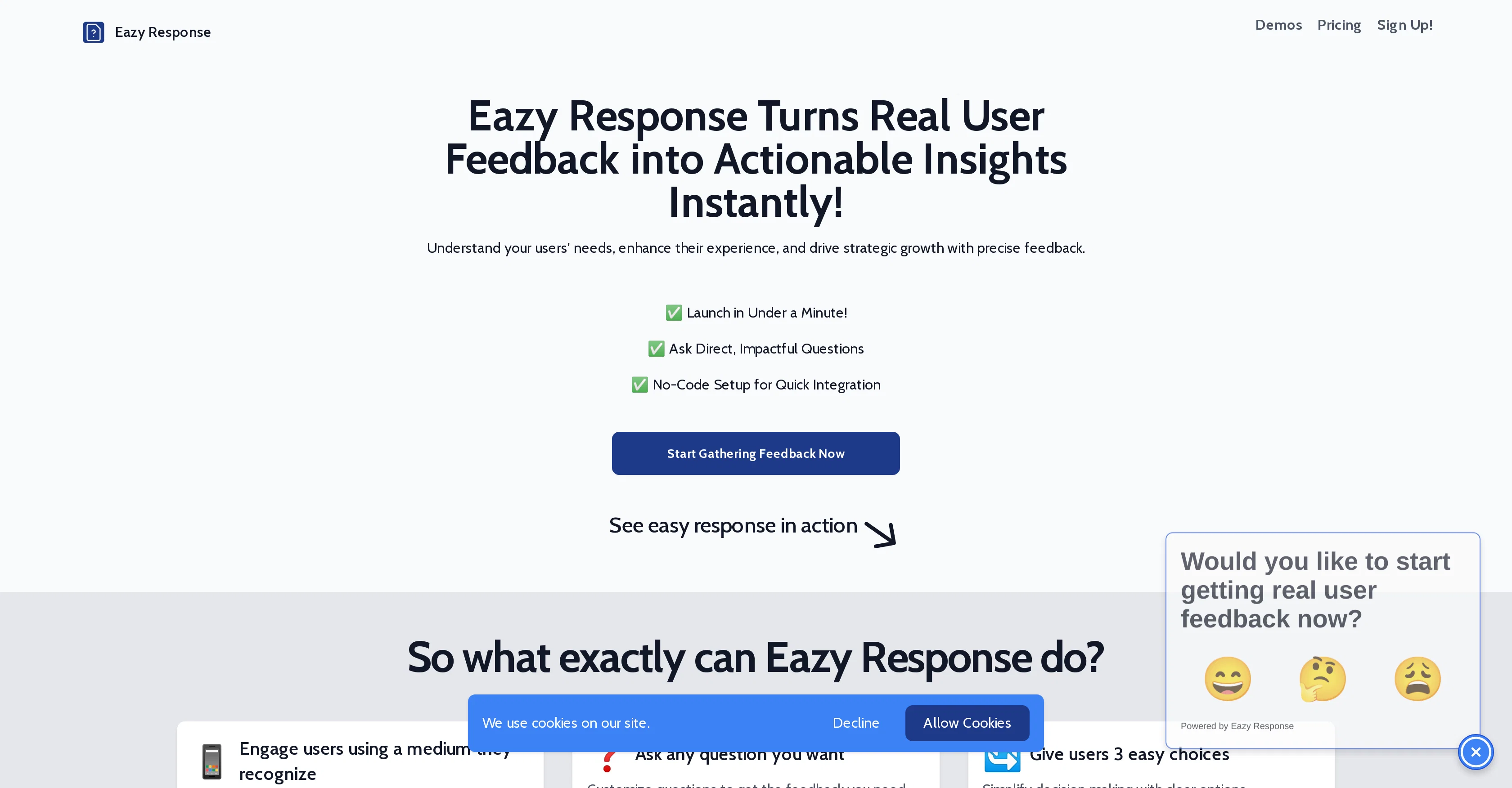 Eazy Response website