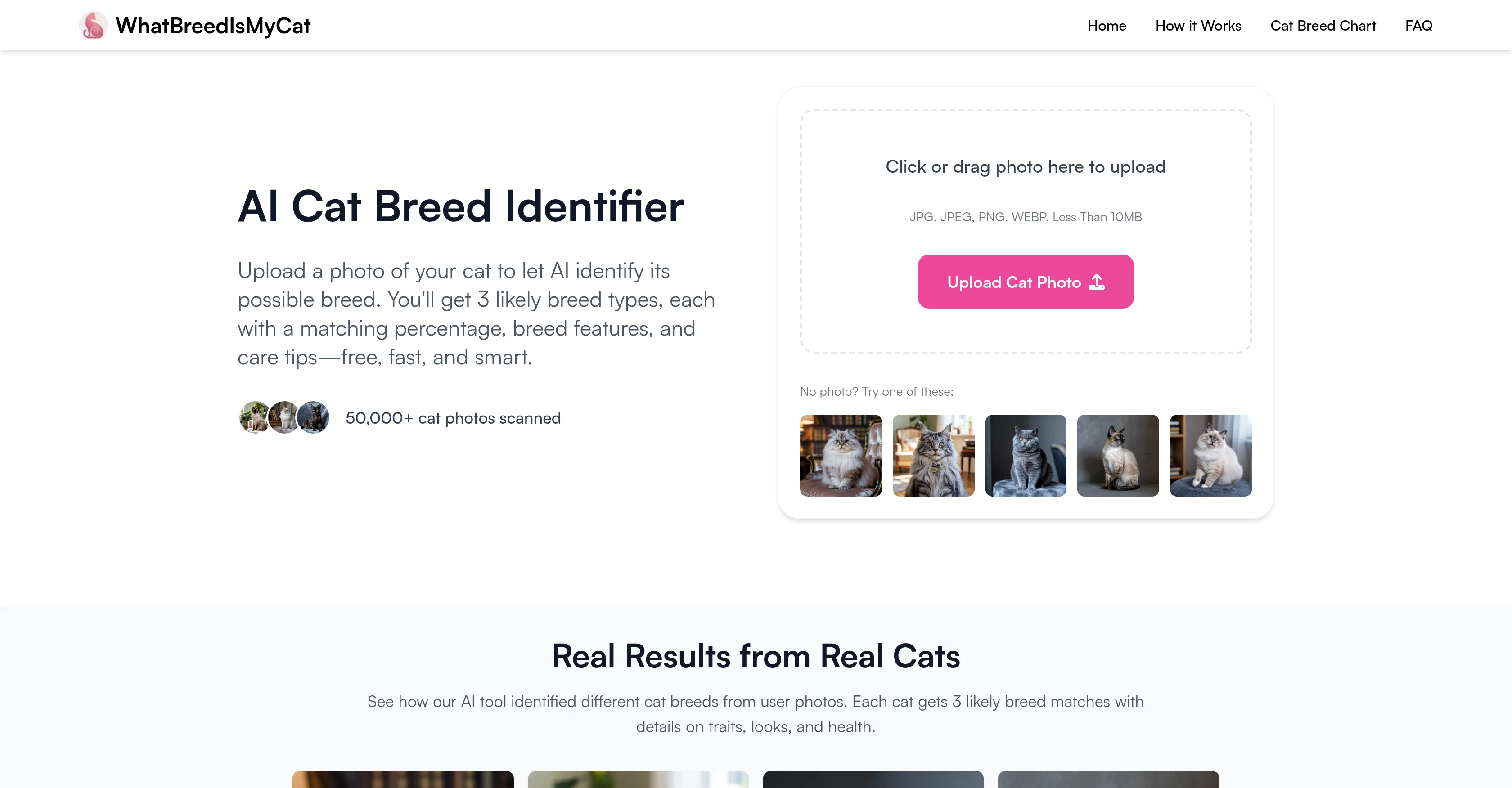 WhatBreedIsMyCat website