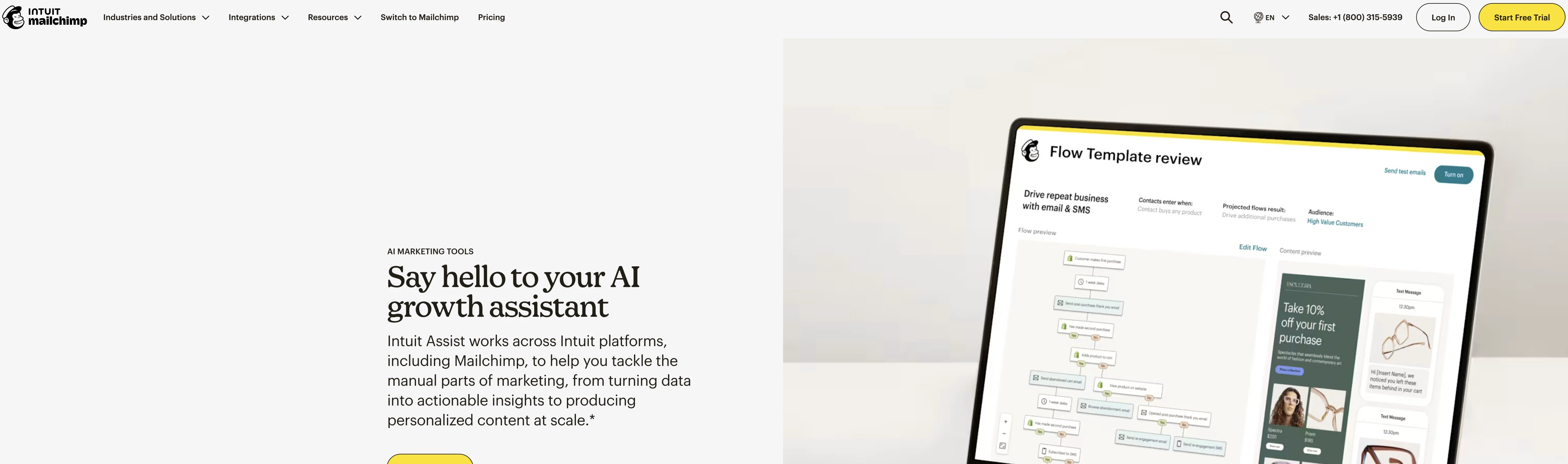 Mailchimp Intuit Assist website