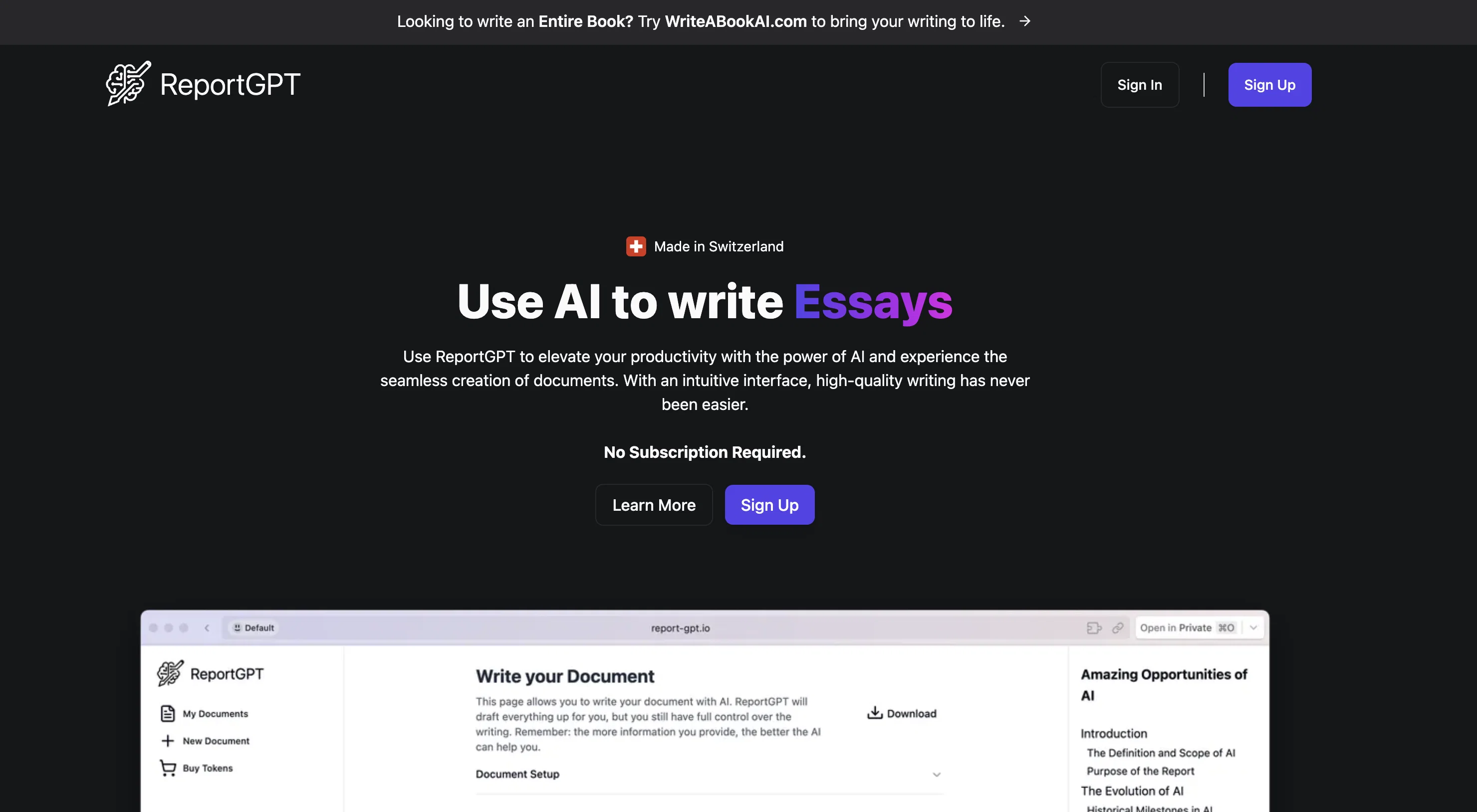 ReportGPT website