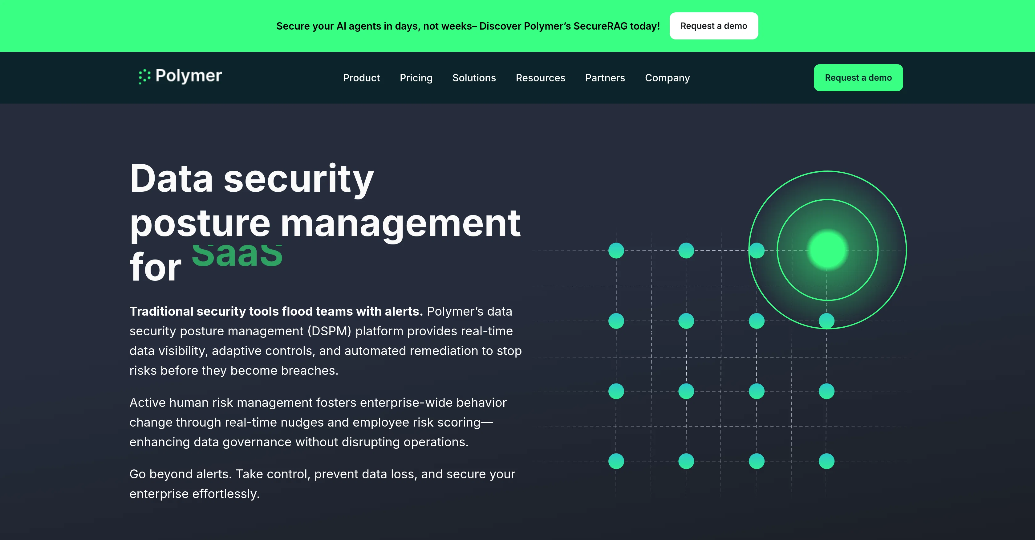 Polymer Runtime Data Security website