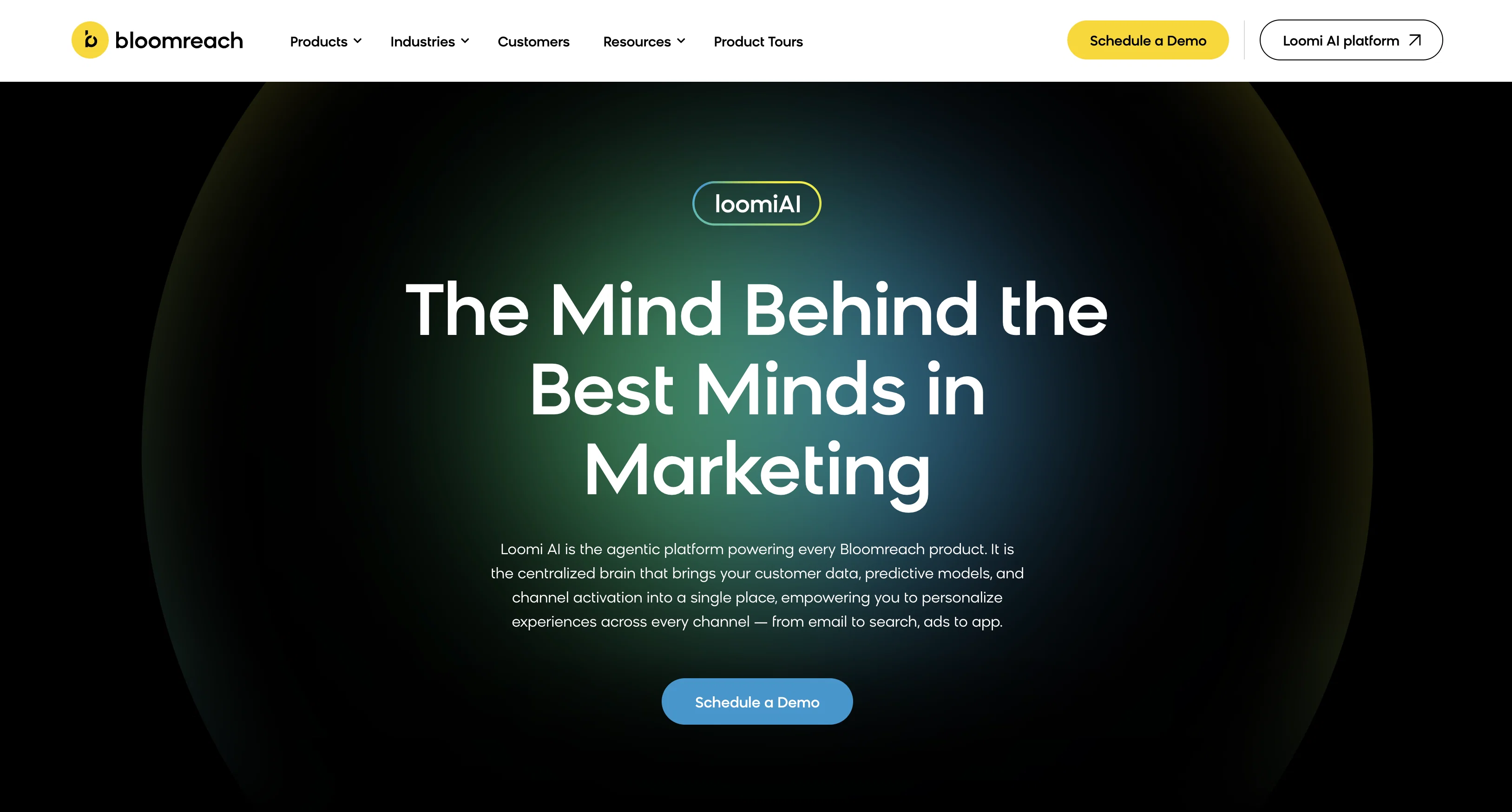 Loomi AI by Bloomreach website