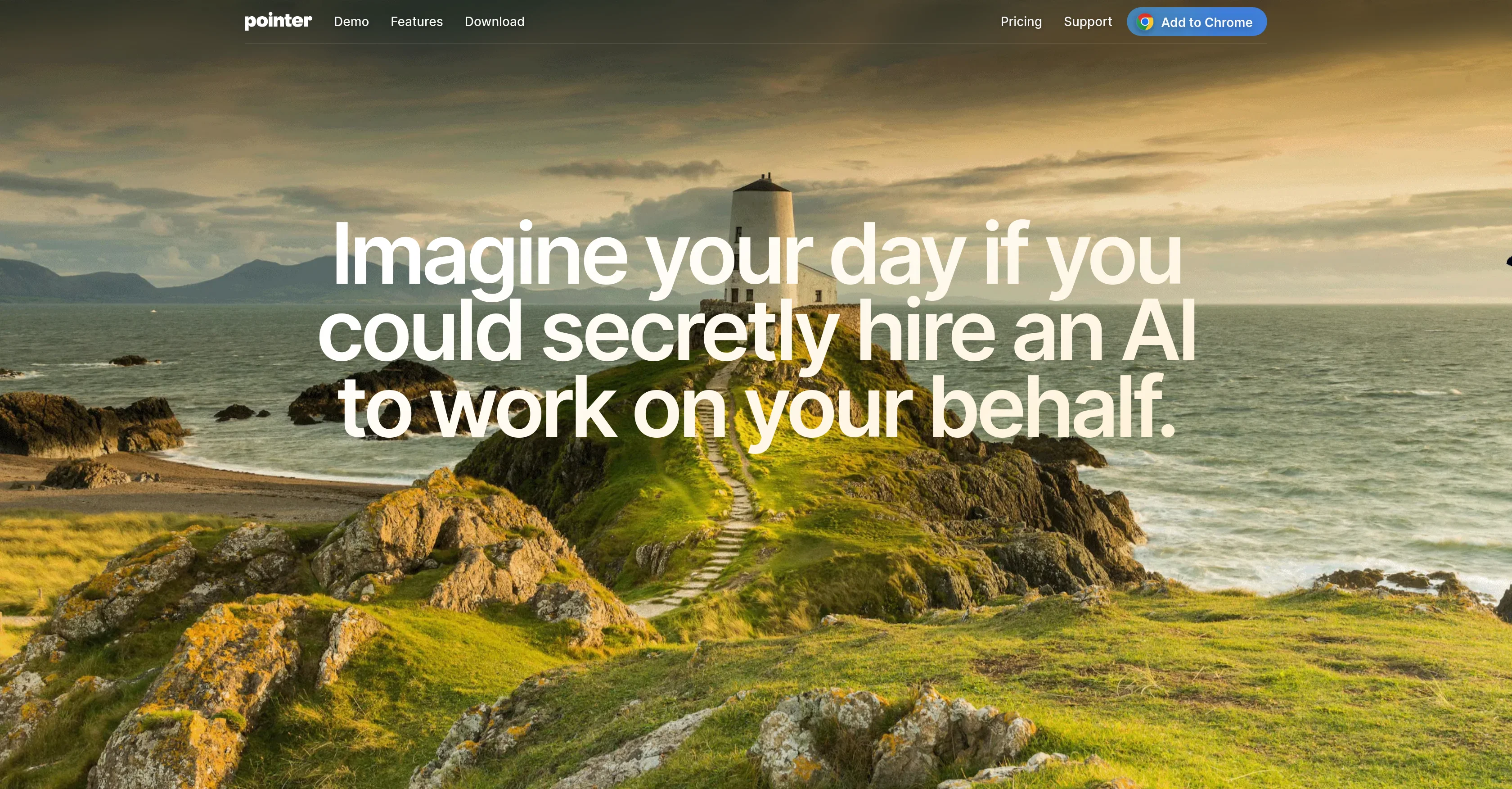 Pointer website