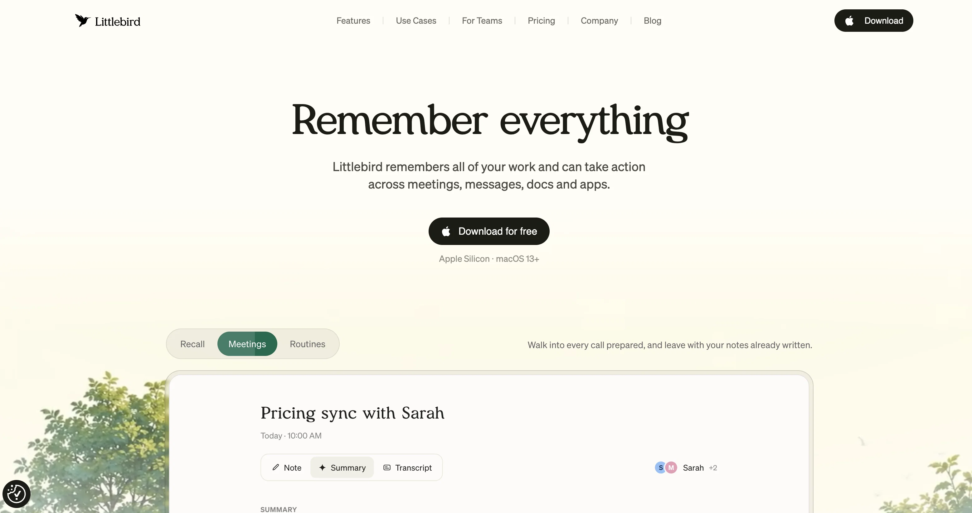 Littlebird website