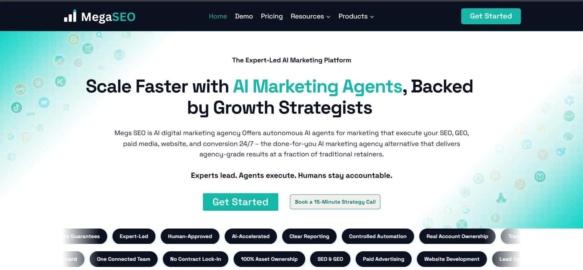 Mega SEO website