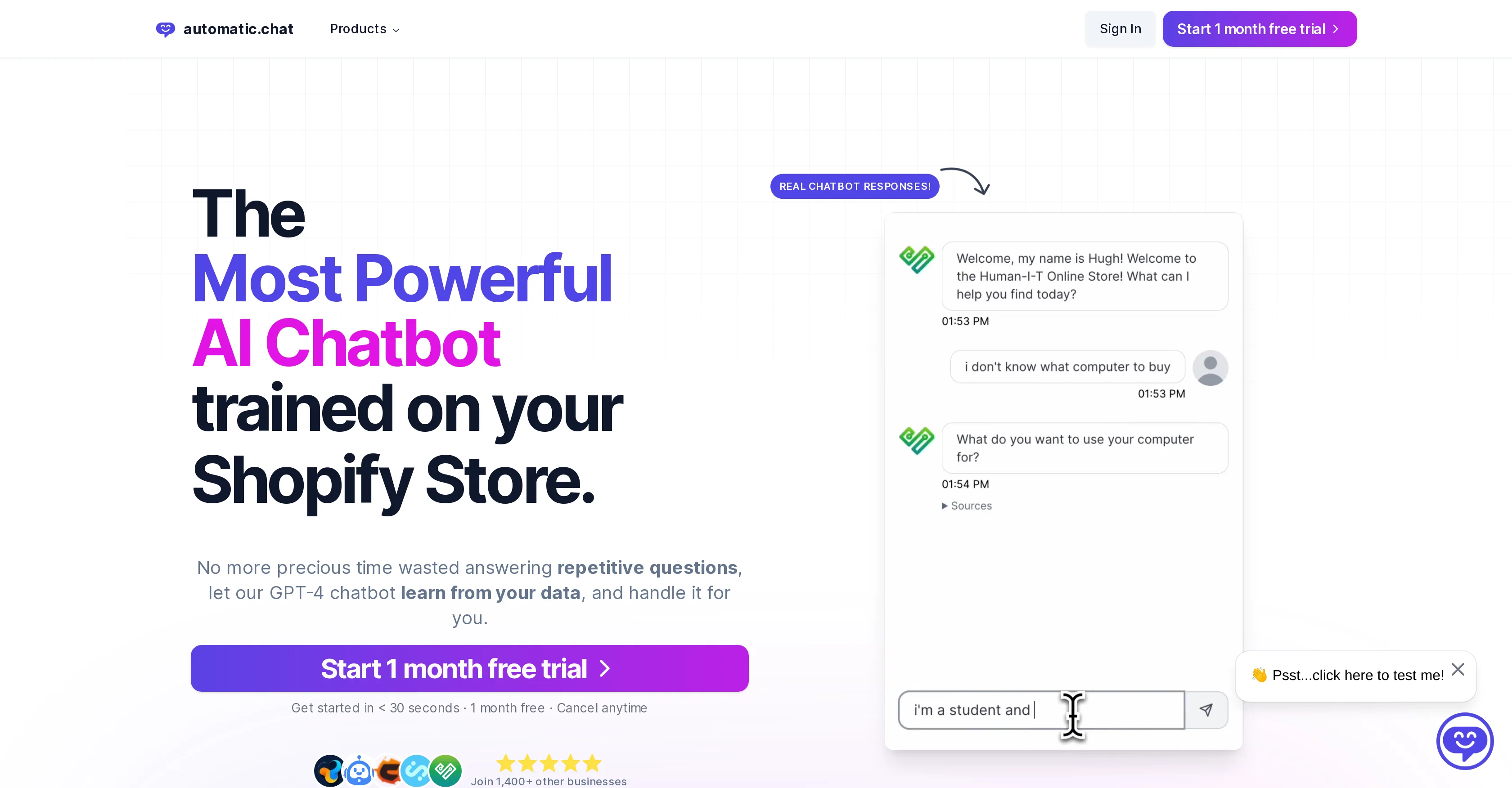 Automatic Chat website