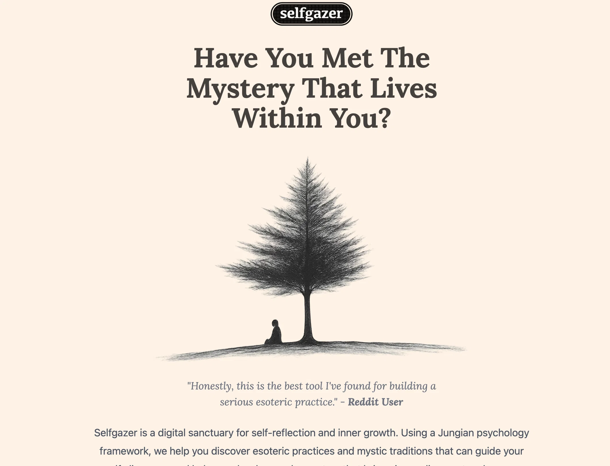 Selfgazer website
