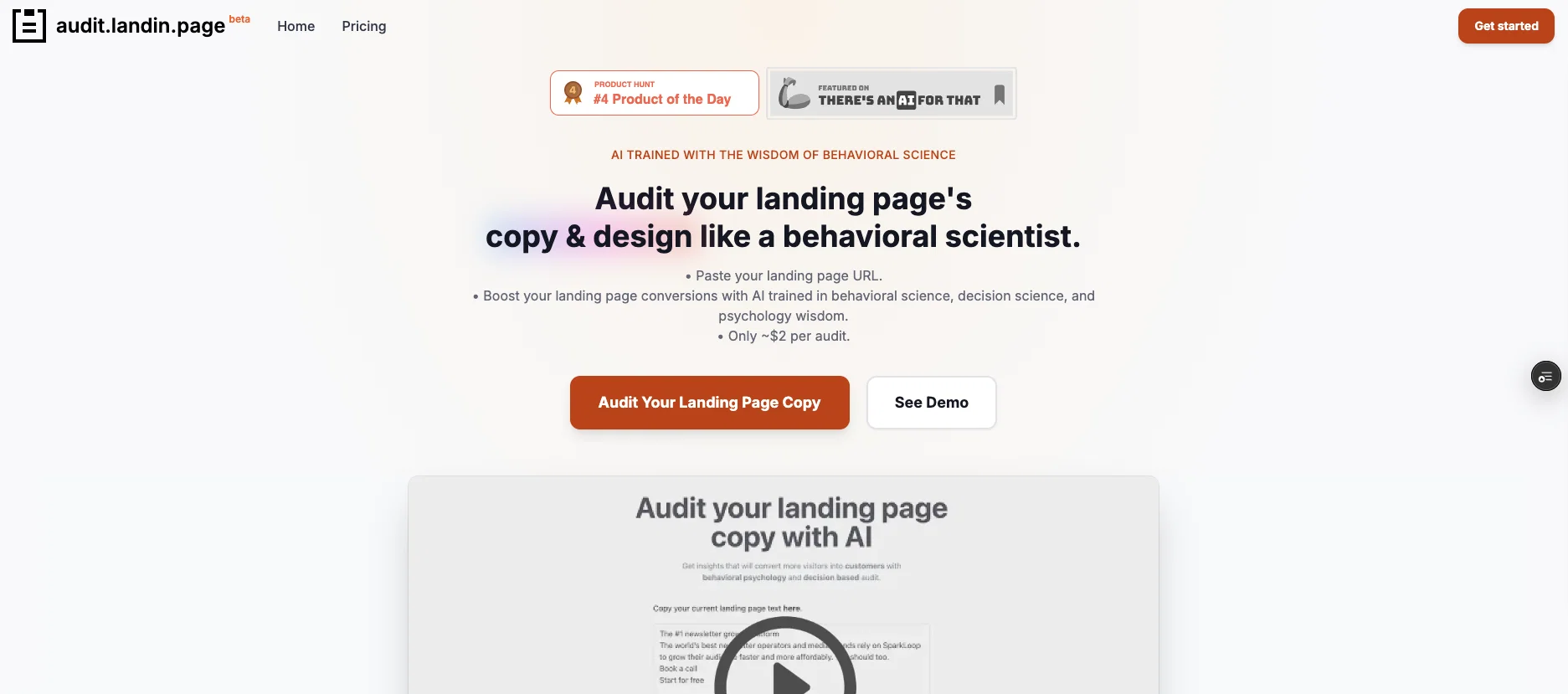 Audit Landin Page website