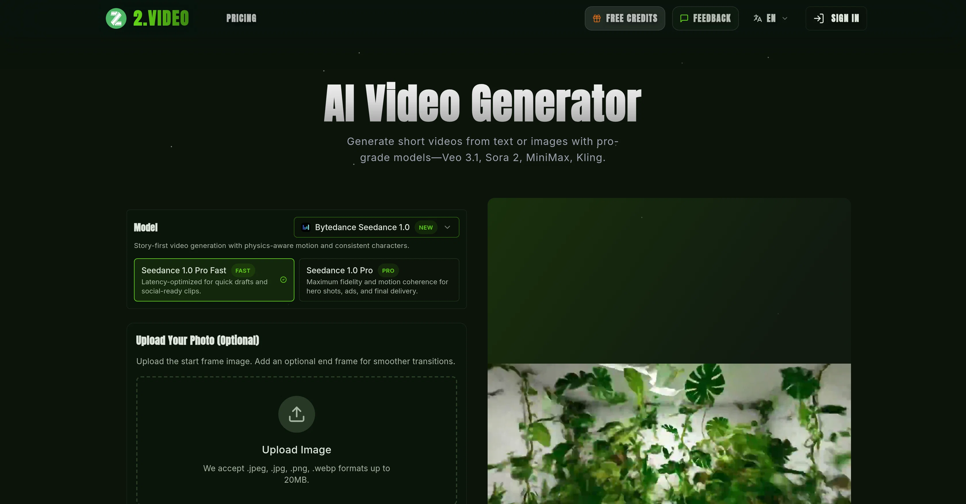 2.VIDEO website