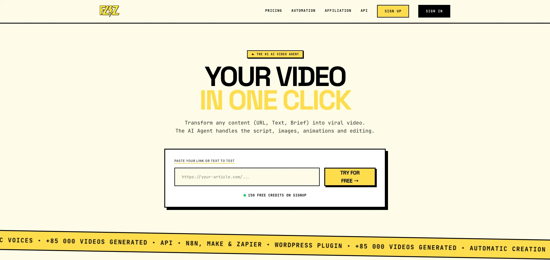 Fliz website