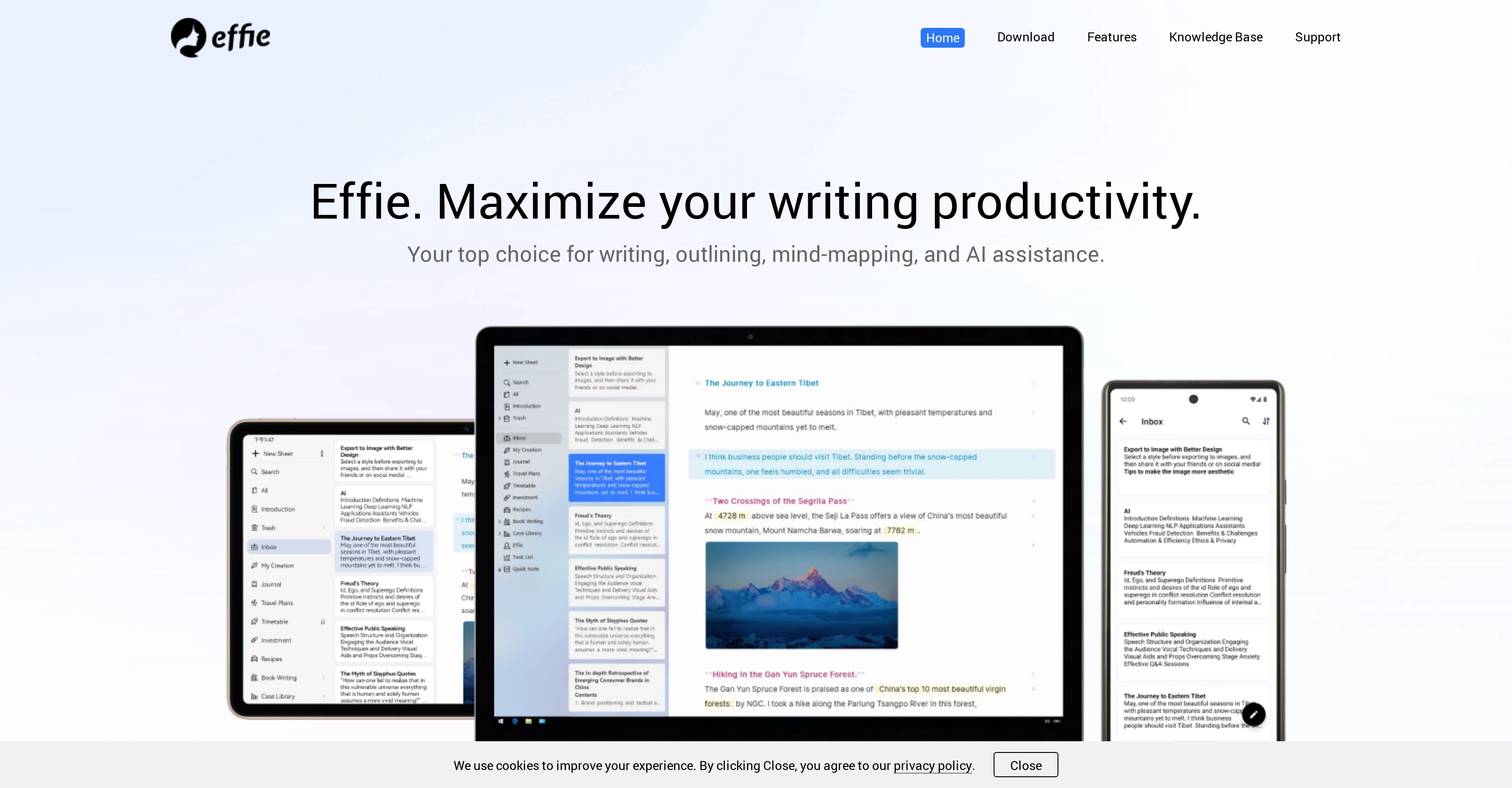 Effie website