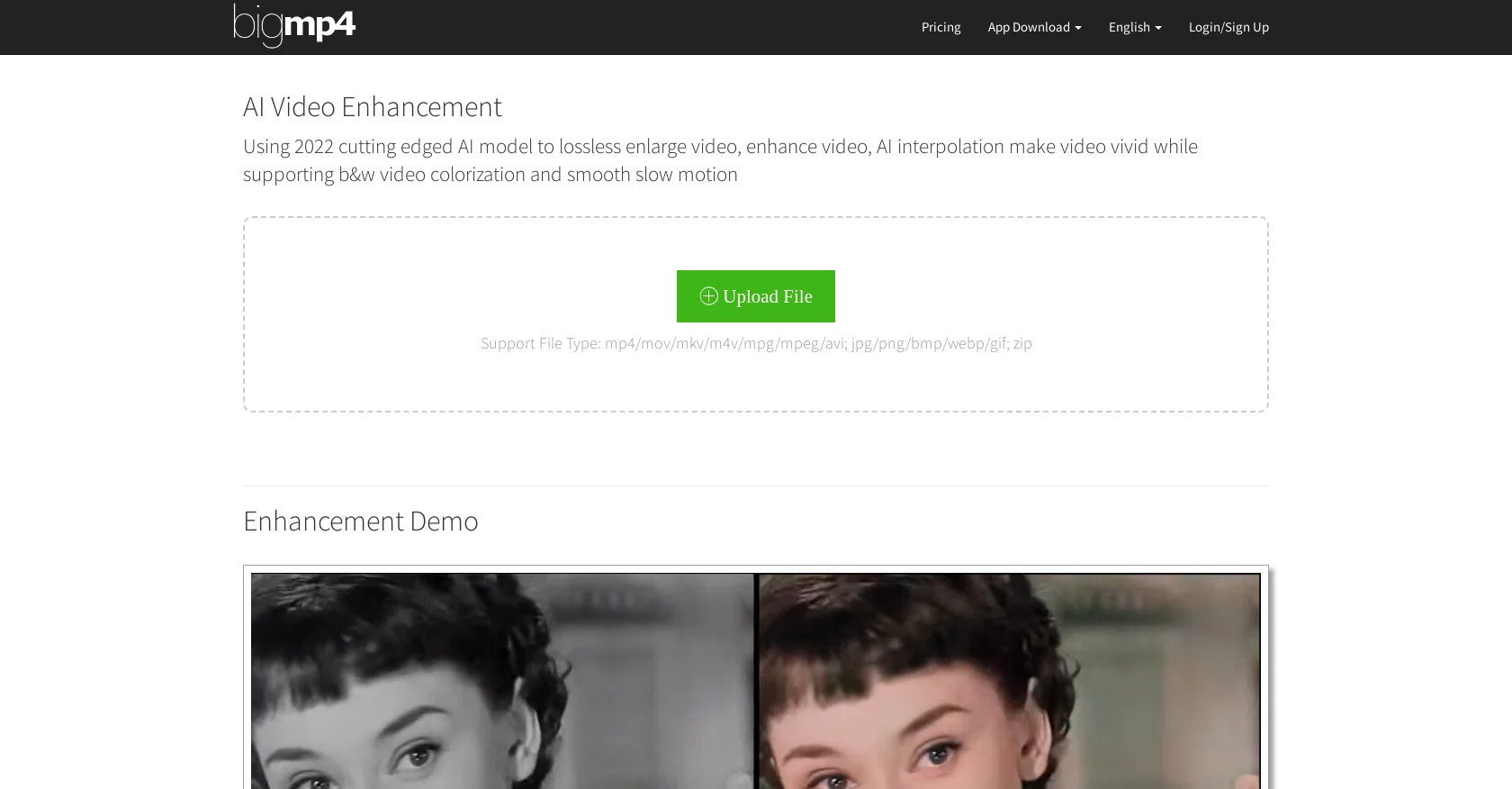 bigmp4 website