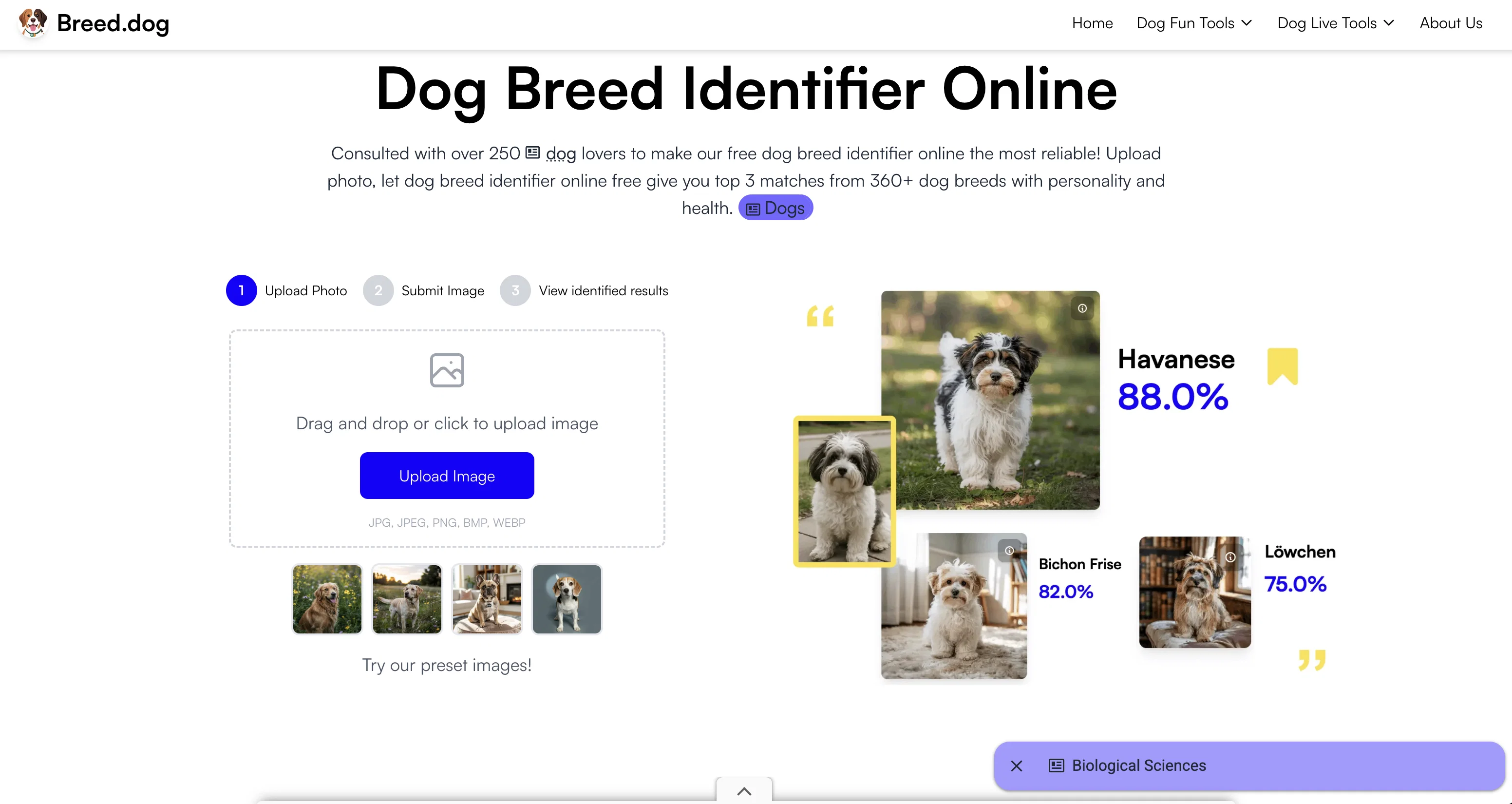 Breed.dog website