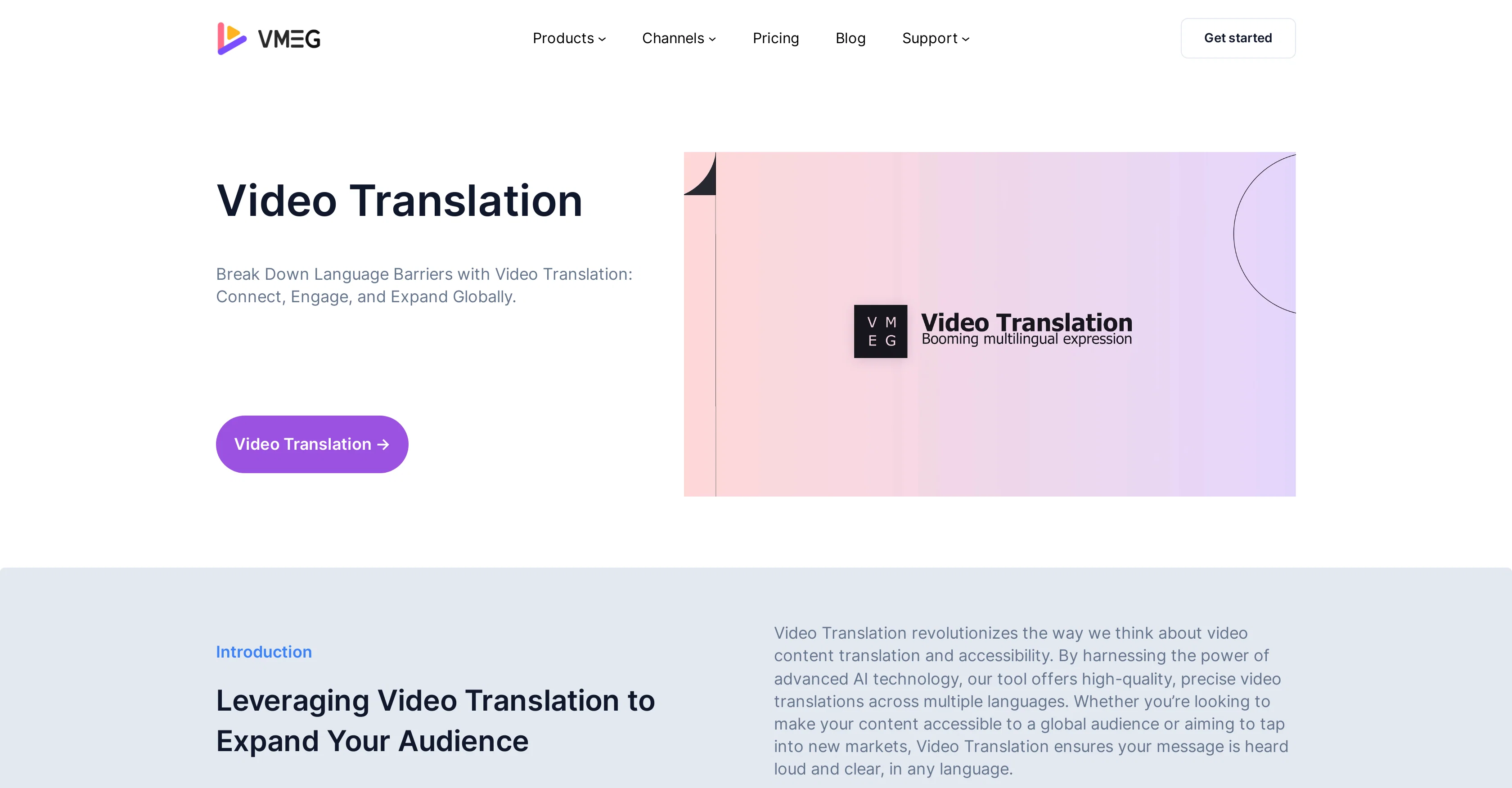 VMEG Video Translation website