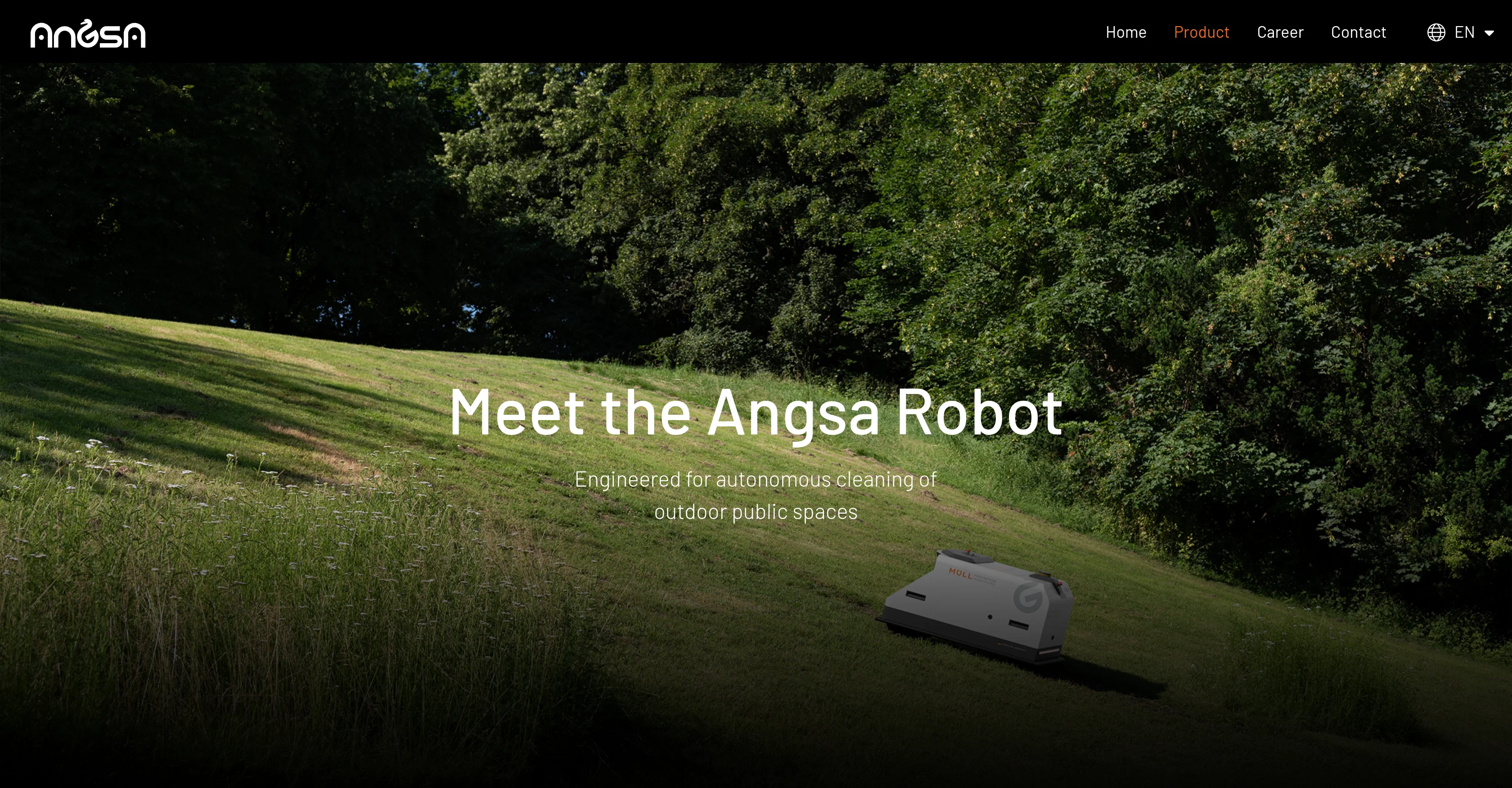 Angsa Robot website