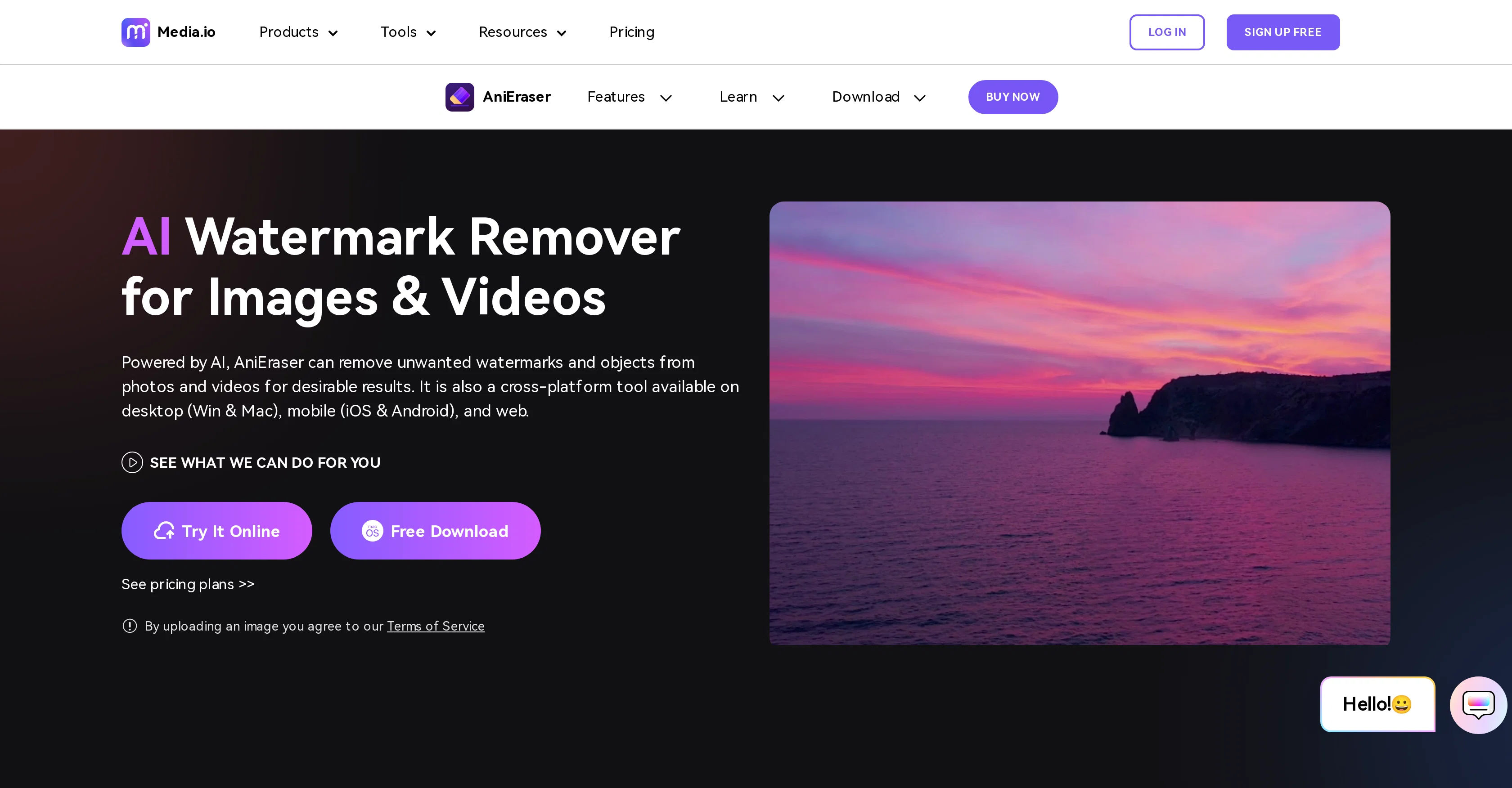 AniEraser website