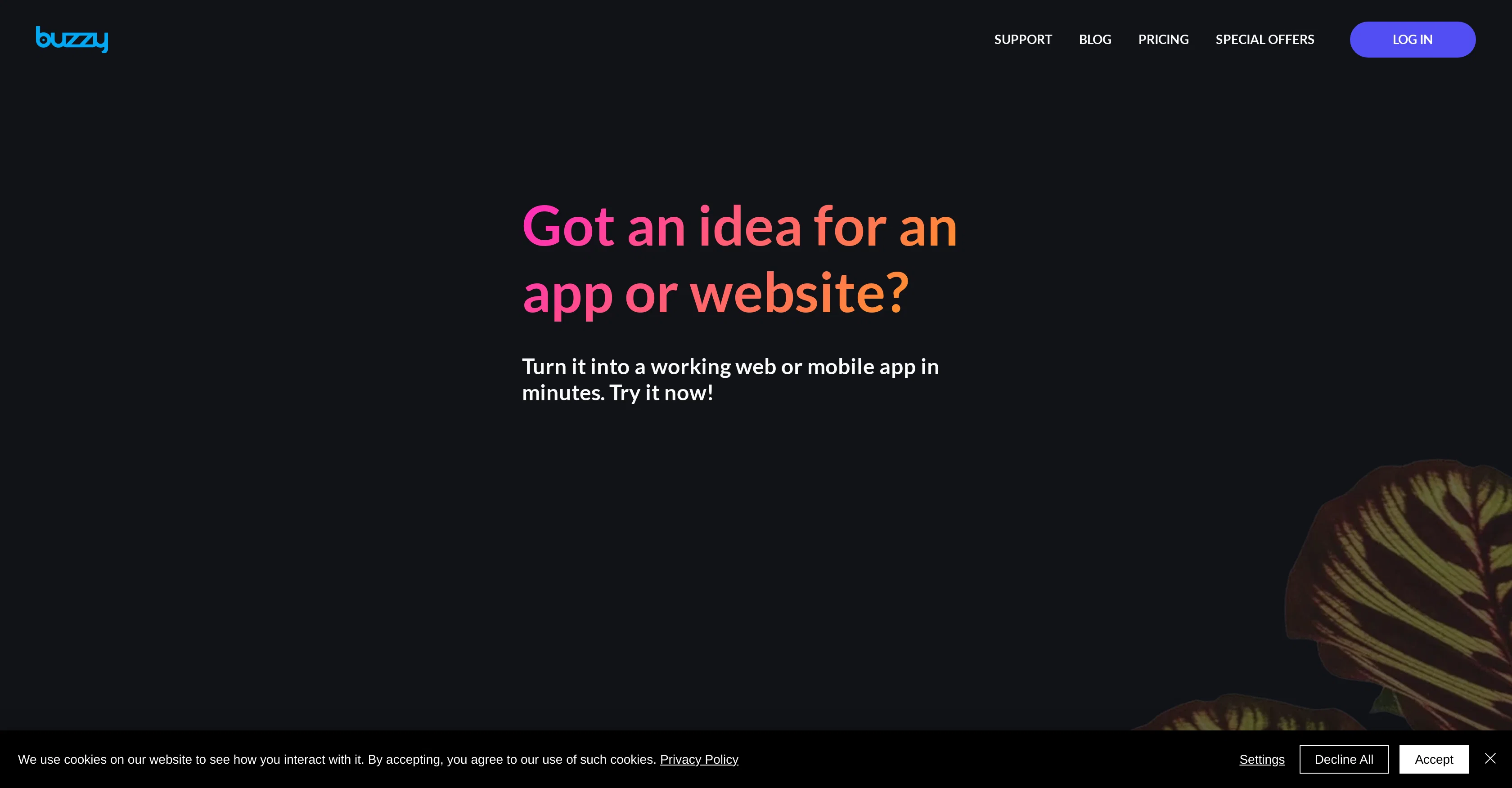 Buzzy website