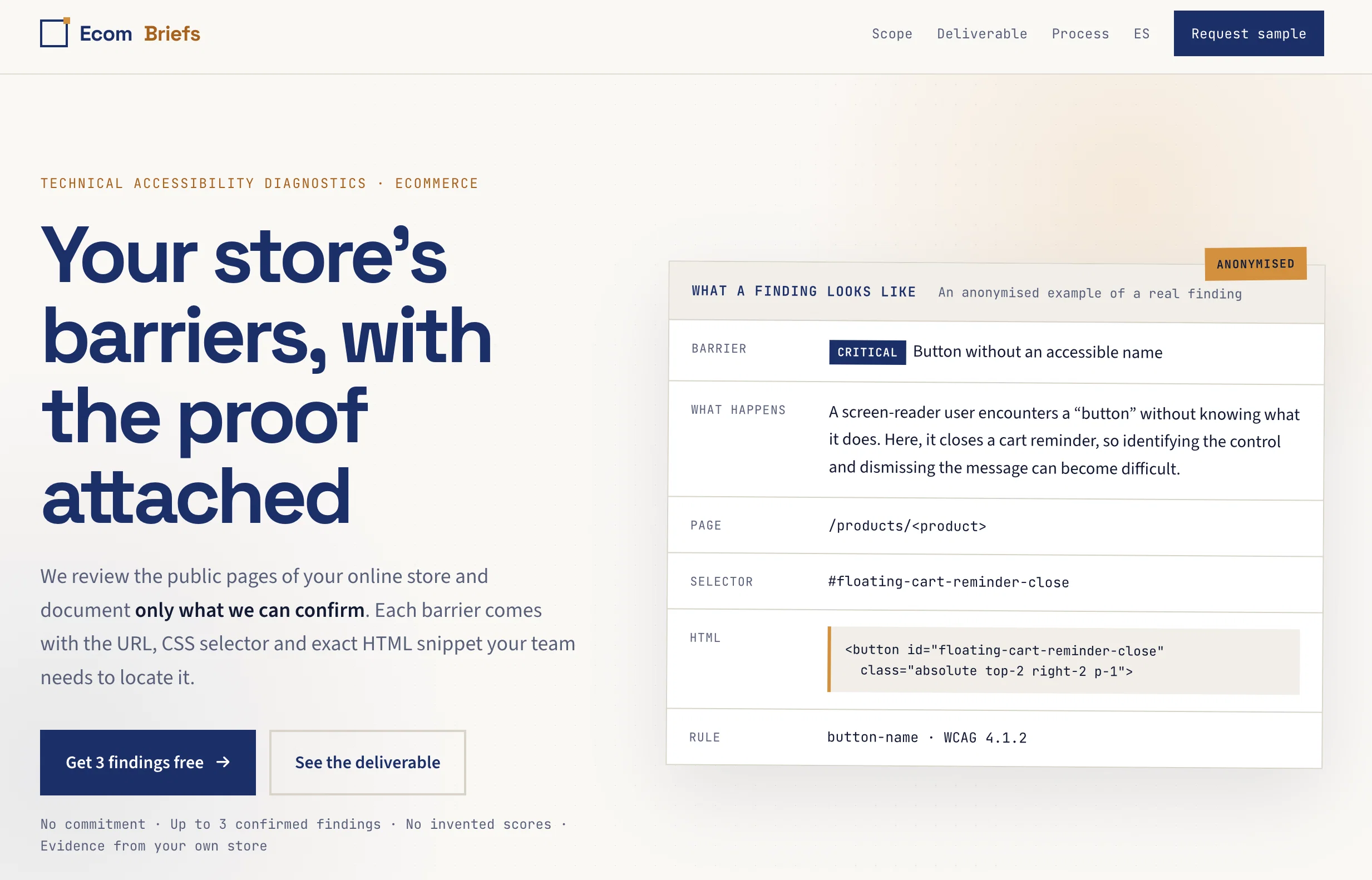 EcomBriefs website